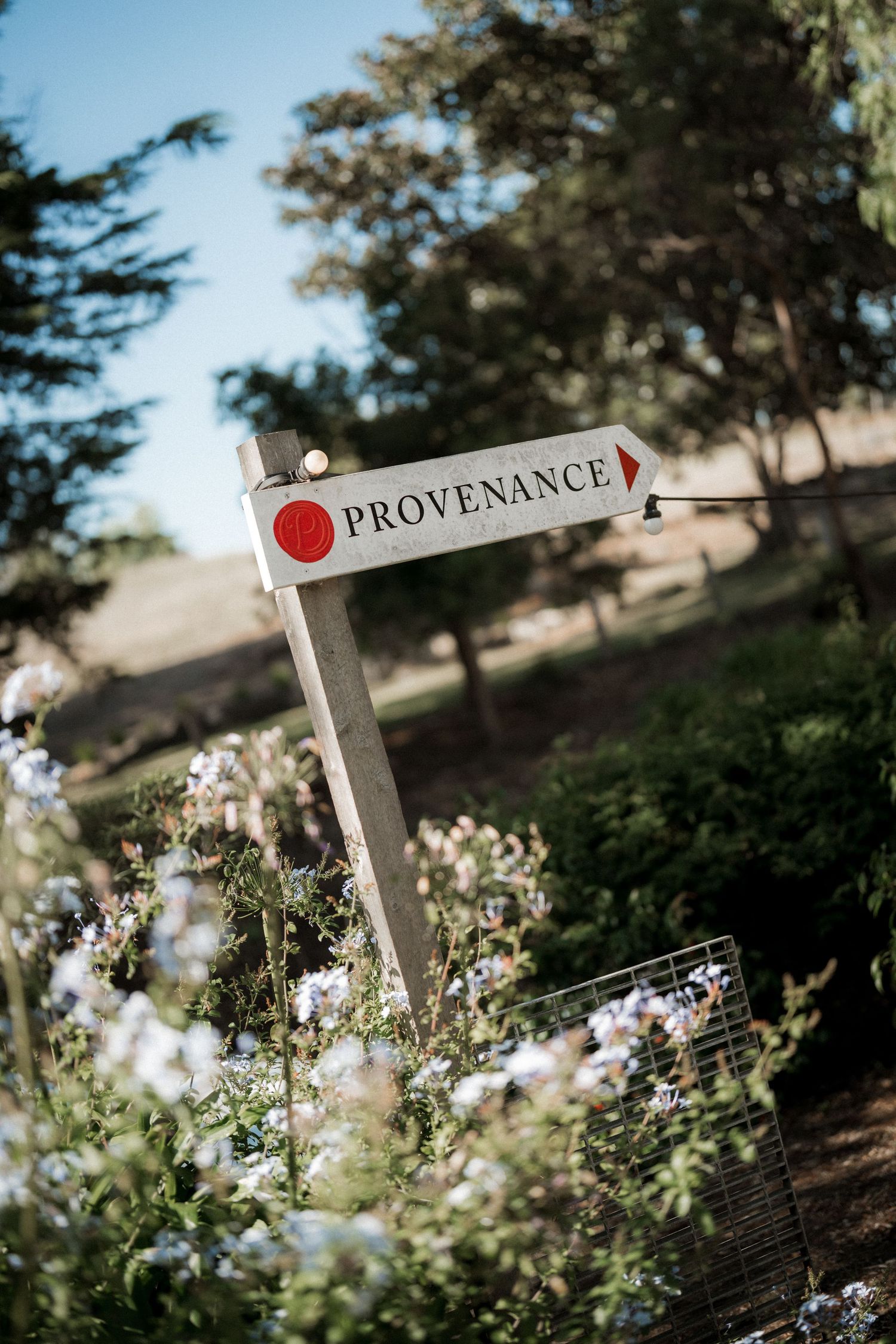 A wooden directional sign marked 'Provenance' stands among blooming white flowers in a garden setting.
