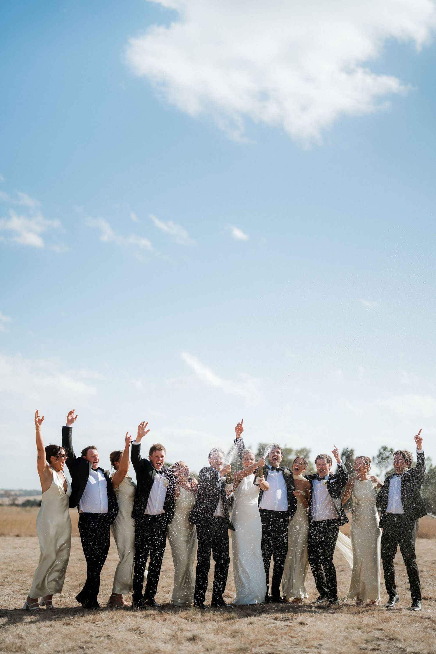 Large wedding party lined up outdoors against a blue sky celebrating with raised arms.