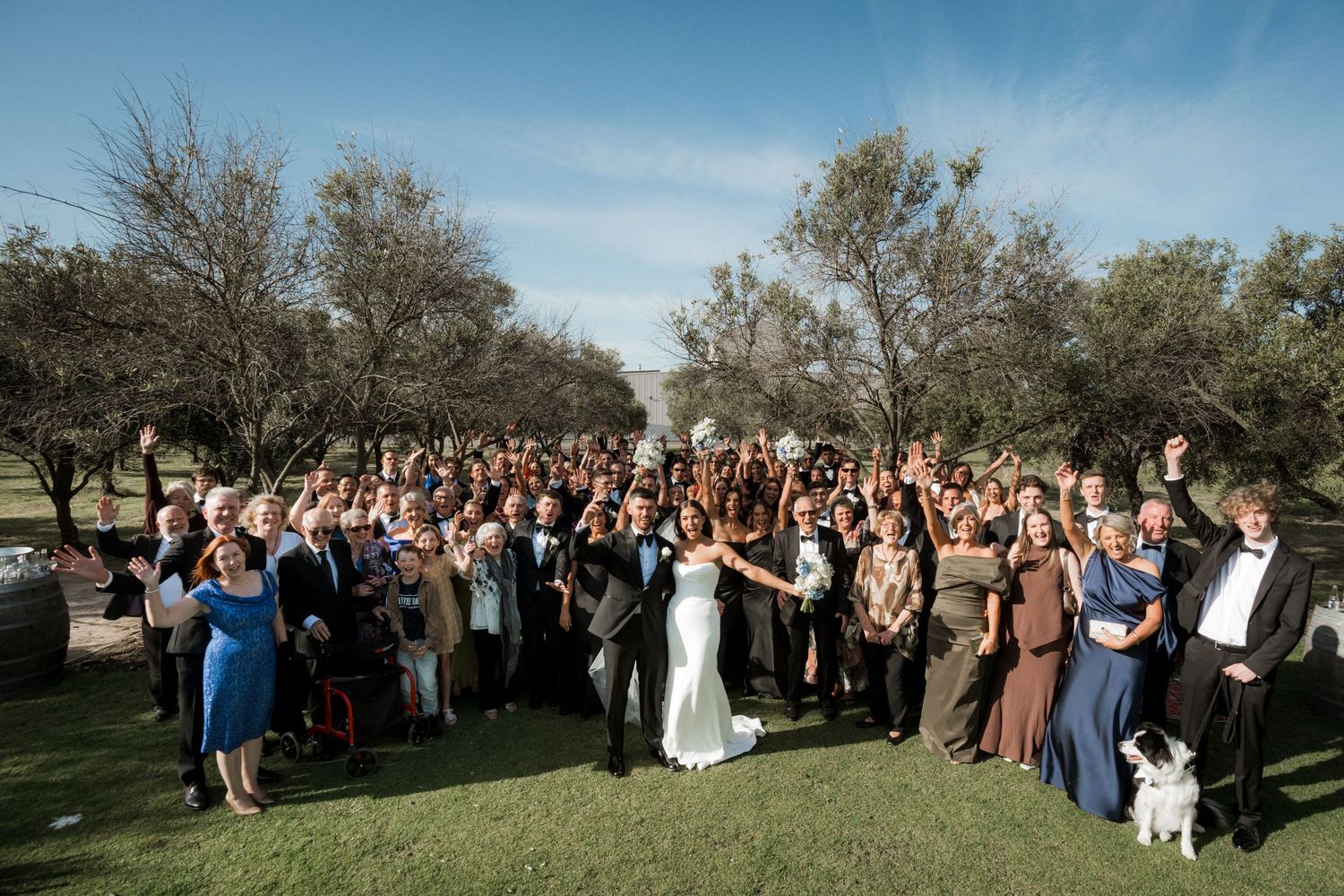 Large group of wedding guests gather outdoors for panoramic photos under blue sky and trees.