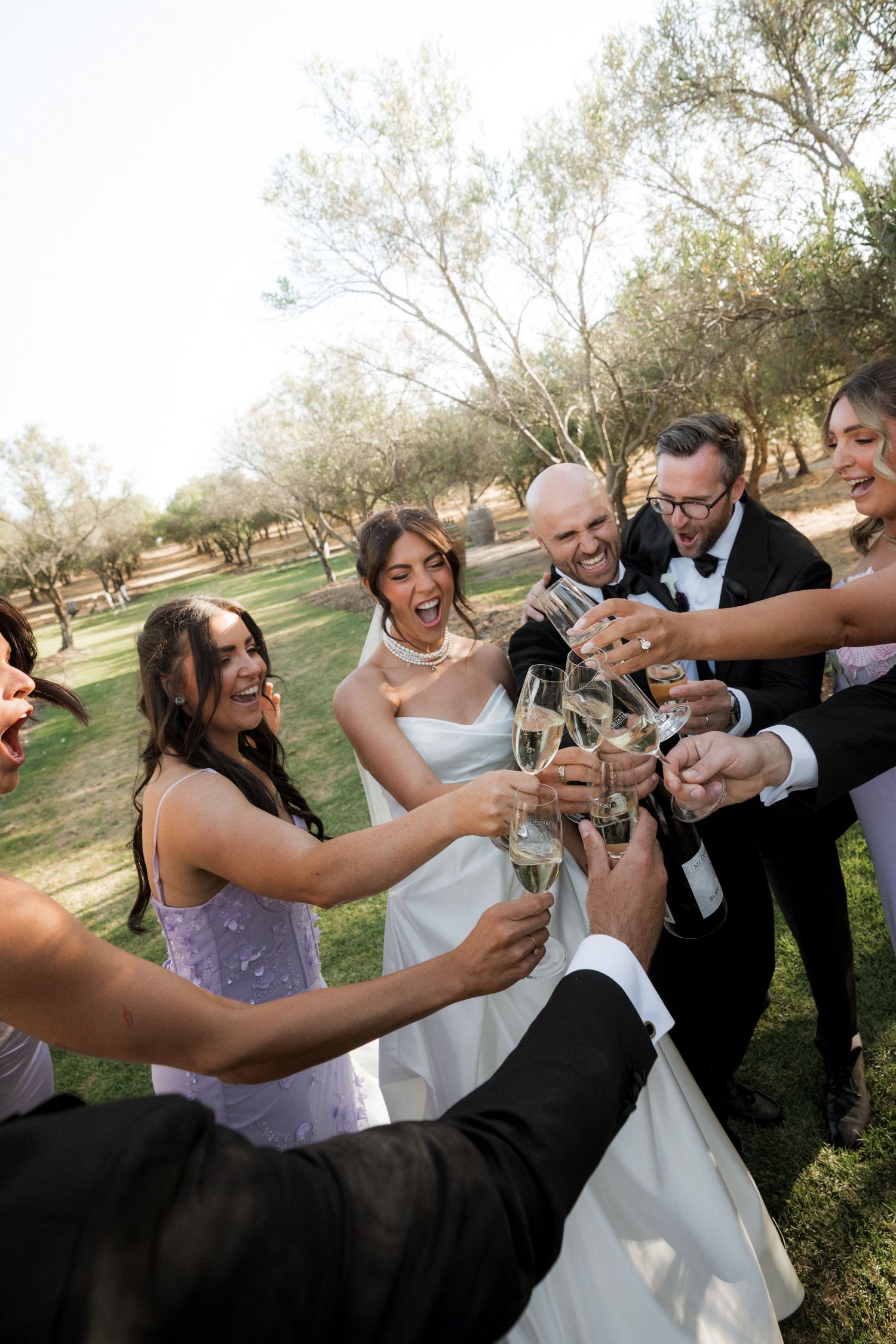 Wedding party members raise champagne glasses in a celebratory toast outdoors among olive trees.