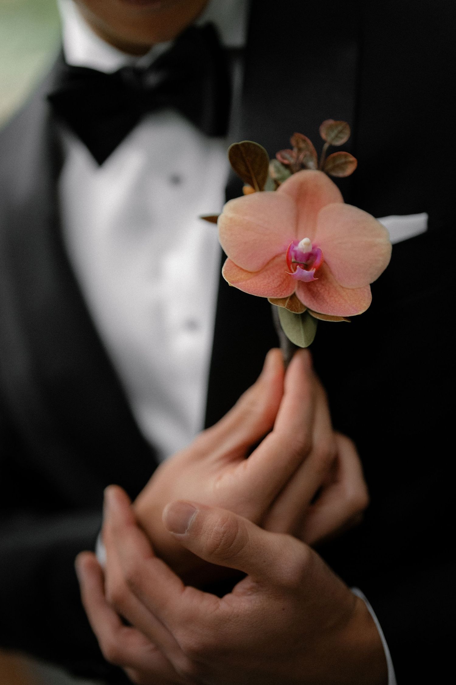 Groom in black tuxedo with bow tie having peach orchid boutonniere pinned to lapel.