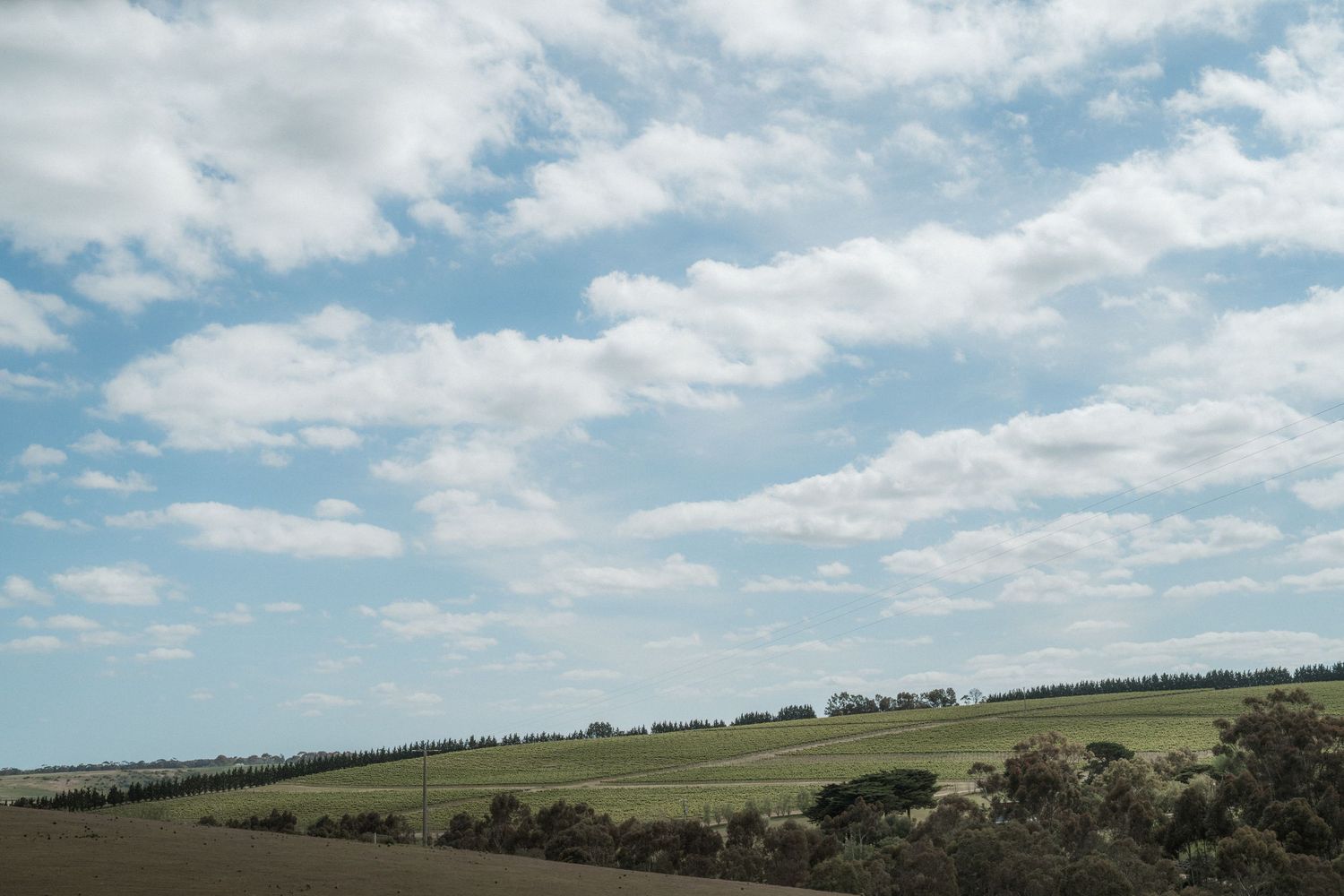 Rolling green hills stretch into the distance under a cloudy blue sky.
