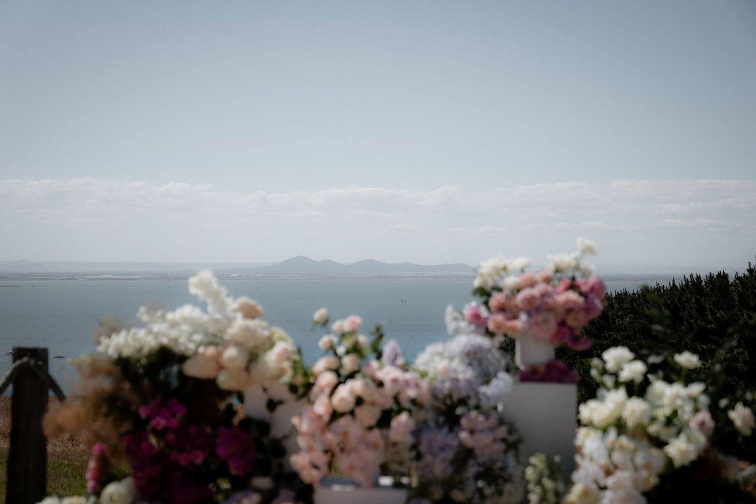 Pink and white cherry blossoms frame a scenic mountain landscape view against a misty blue sky.