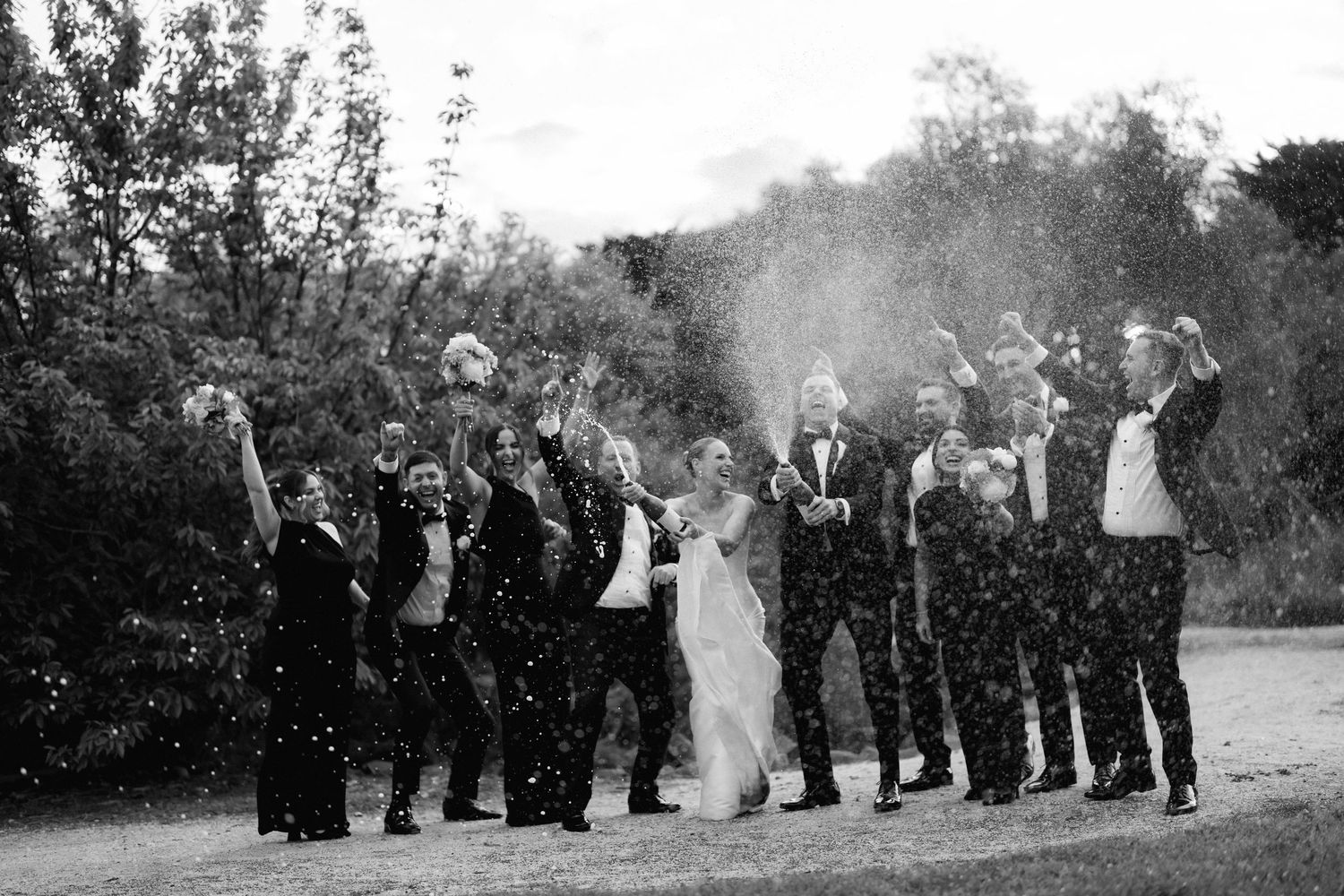 Wedding party lined up outdoors in a scenic natural setting.