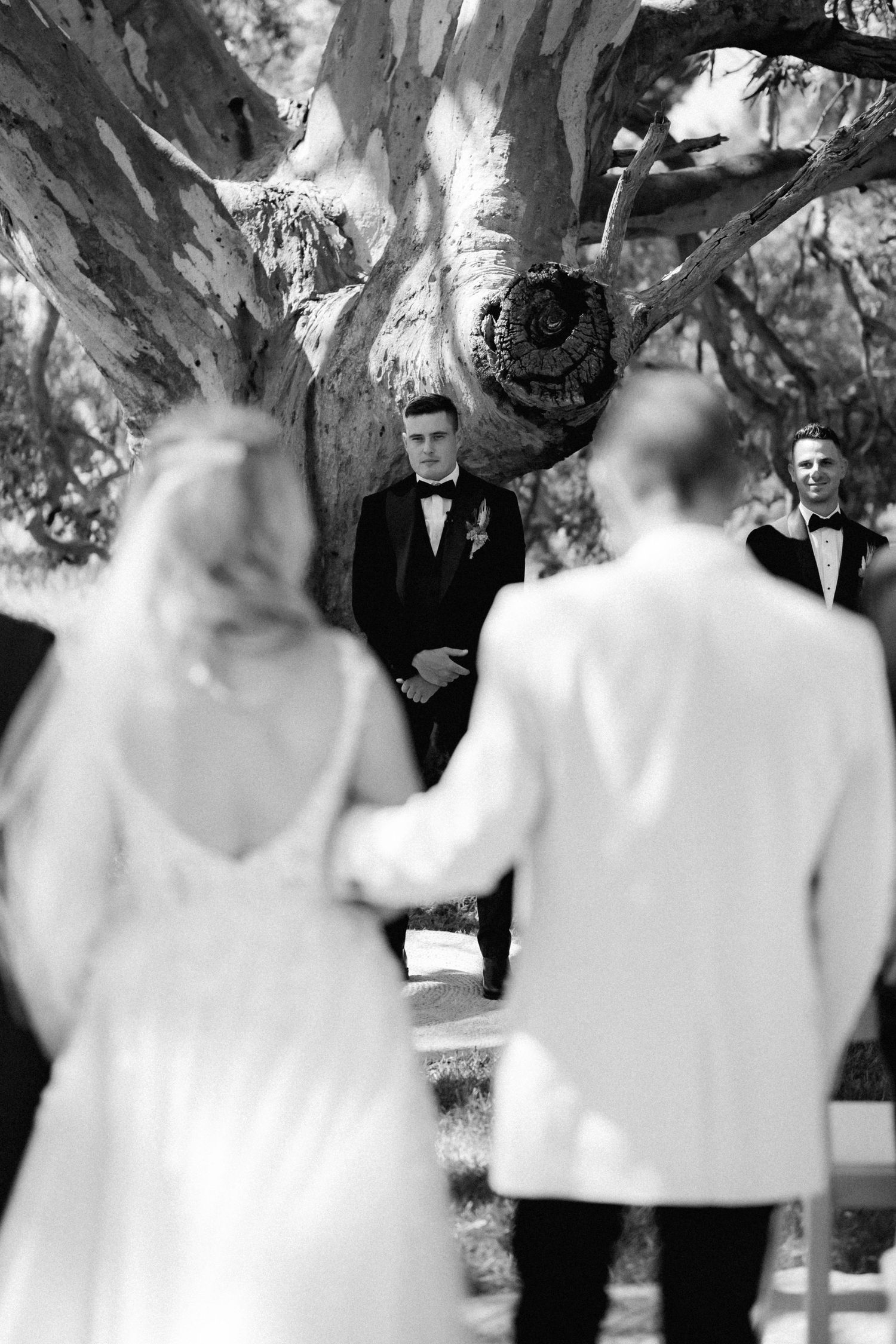 A black and white wedding ceremony taking place outdoors under a large tree with figures standing at the altar.
