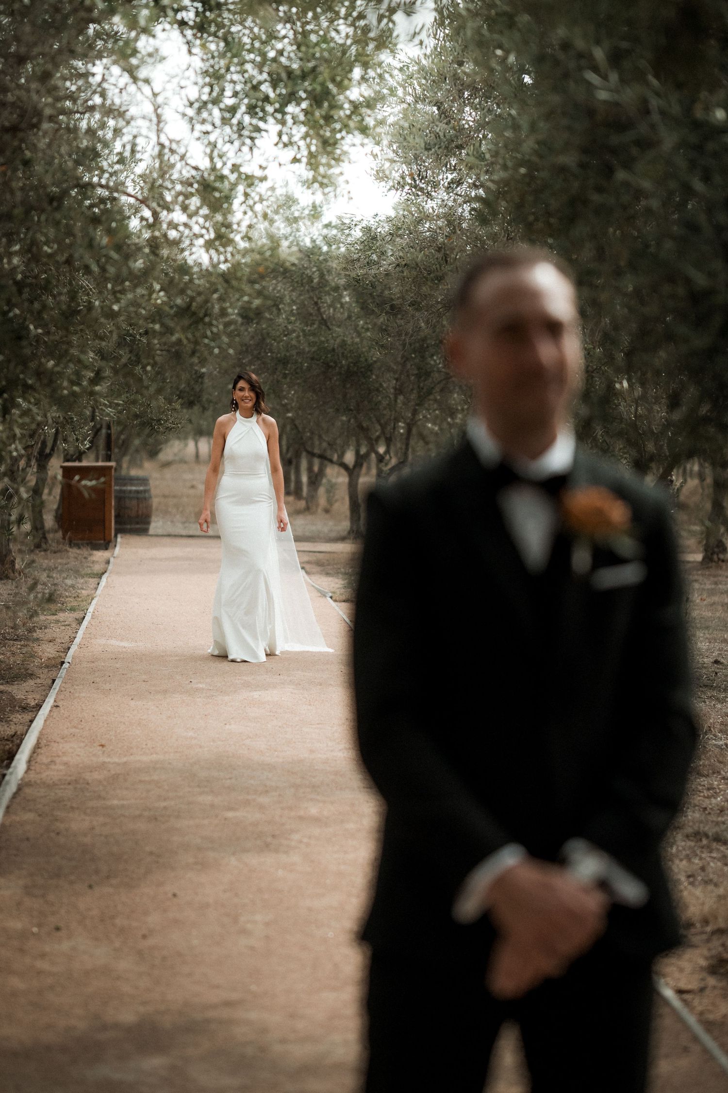 A romantic first look between newlyweds in an olive grove pathway.