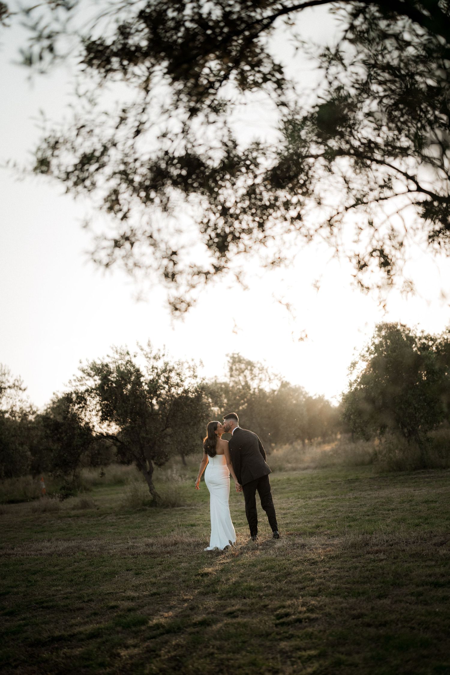 A couple walks hand in hand through a scenic field at golden hour under sprawling tree branches.