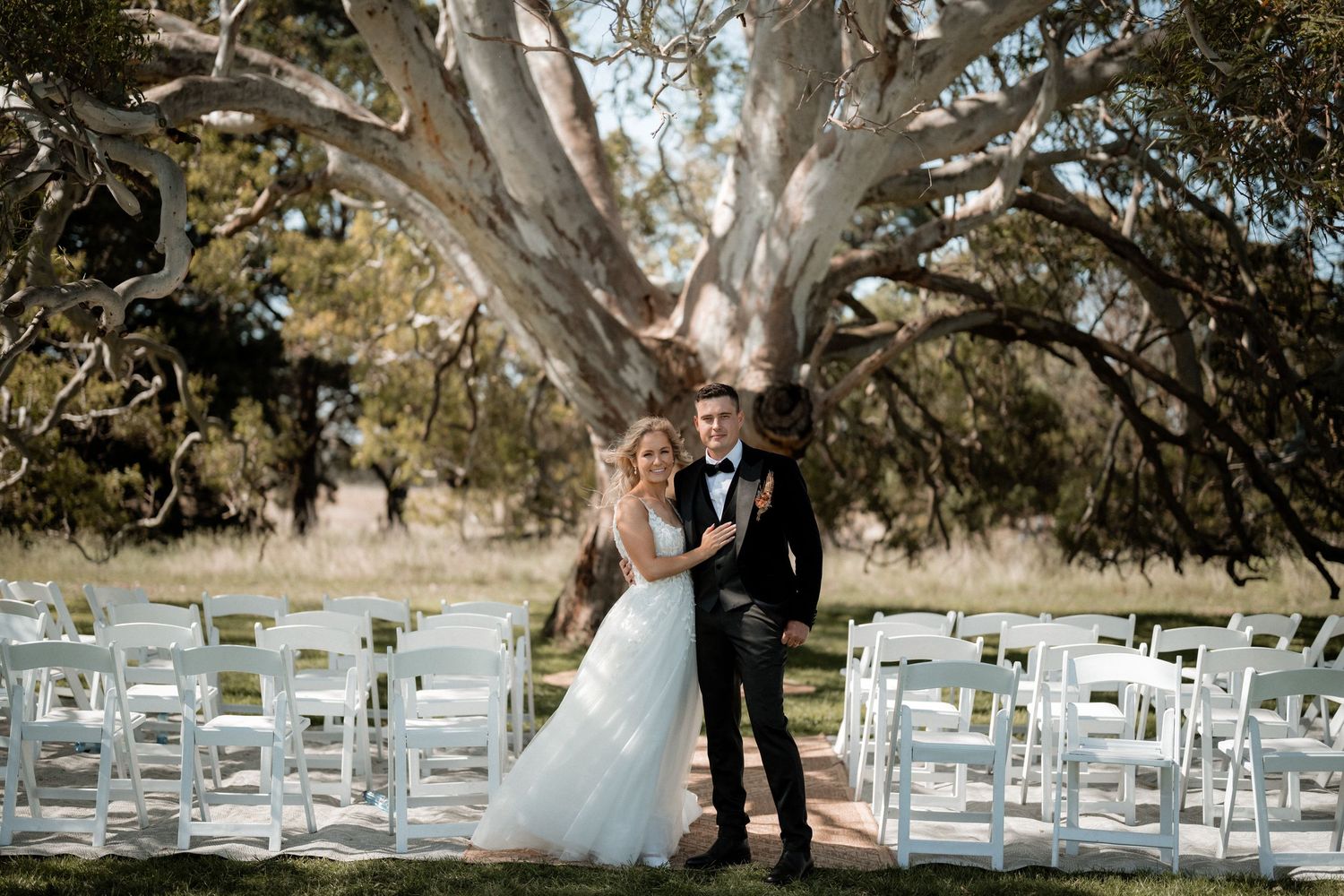 A scenic outdoor wedding ceremony setup with white chairs beneath a majestic old tree.