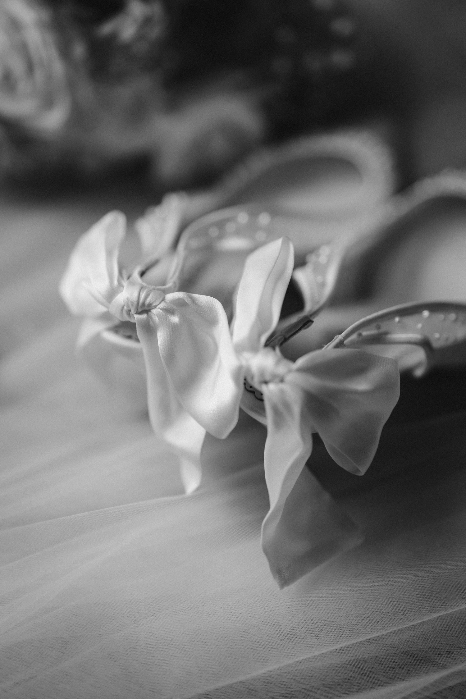 Delicate white flowers in soft black and white macro photography with shallow depth of field.