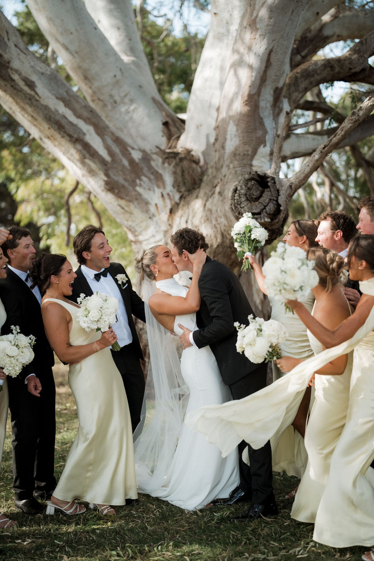 Wedding party gathered under a majestic white-barked tree during an outdoor celebration with white floral bouquets.