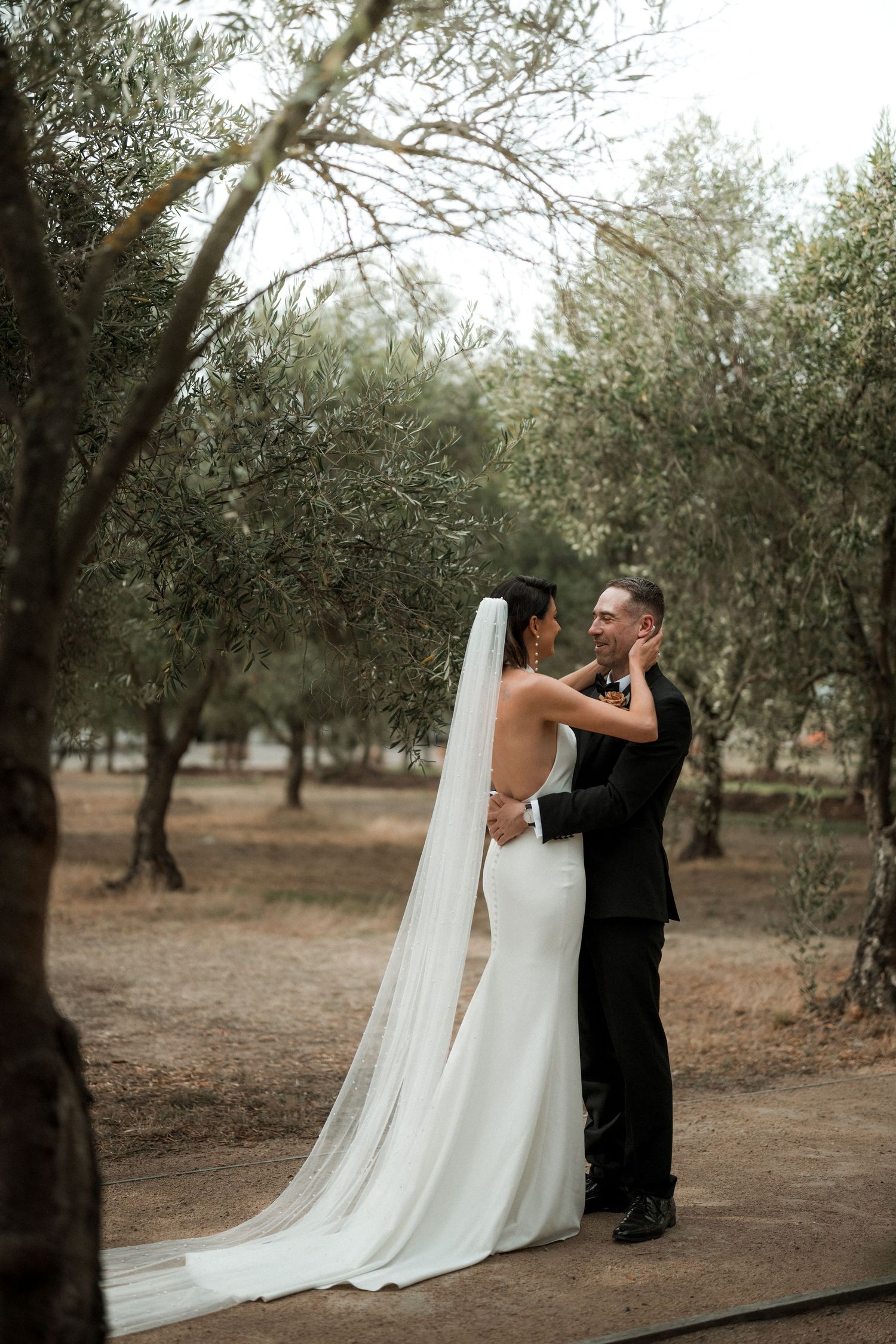 A couple shares an intimate moment in an olive grove on their wedding day, with the bride wearing a flowing white gown and veil.