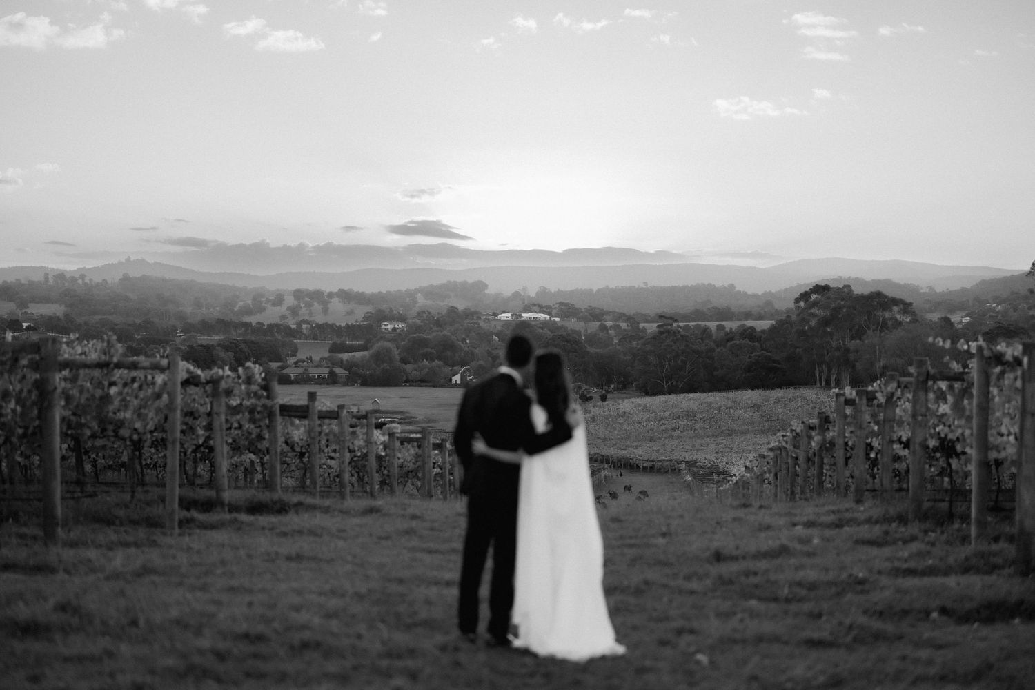 Bride and groom embrace at sunset overlooking vineyard landscape in romantic black and white wedding photo.
