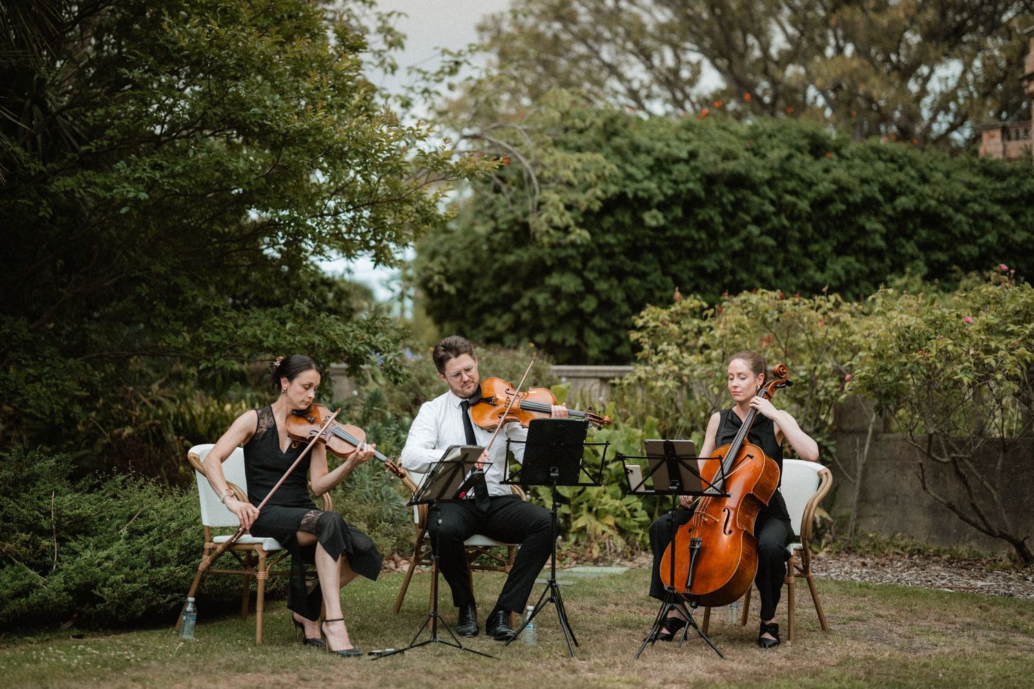 A string trio performs classical music outdoors in a garden setting with violin, cello and another instrument.