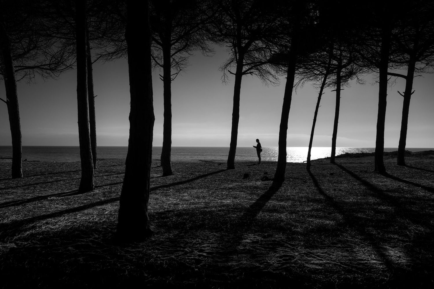 Black and white fine art photograph of a woman silhouetted through pine trees on an Algarve beach, Portugal