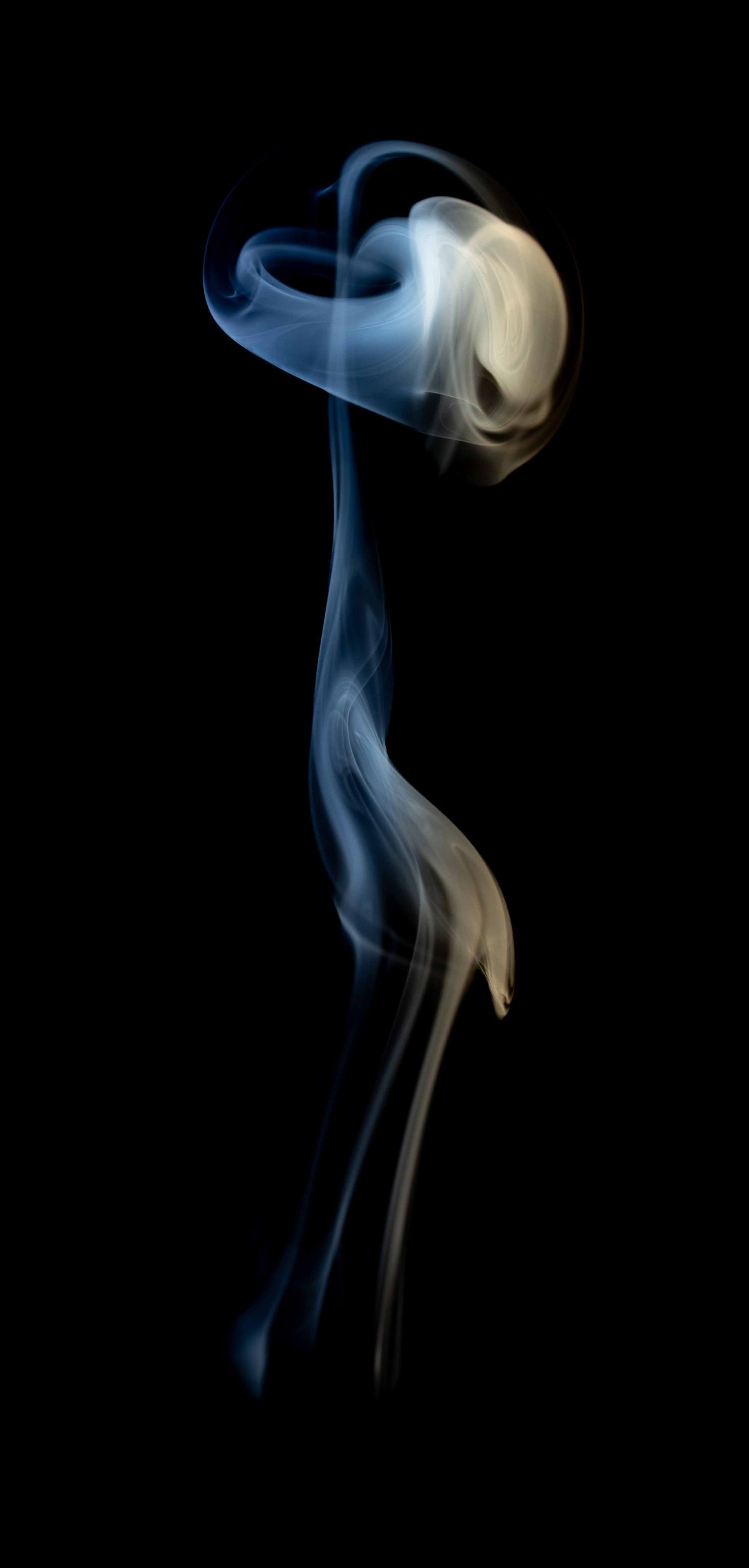 Abstract fine art photography print featuring flowing blue and amber shapes on black, by Anthony West