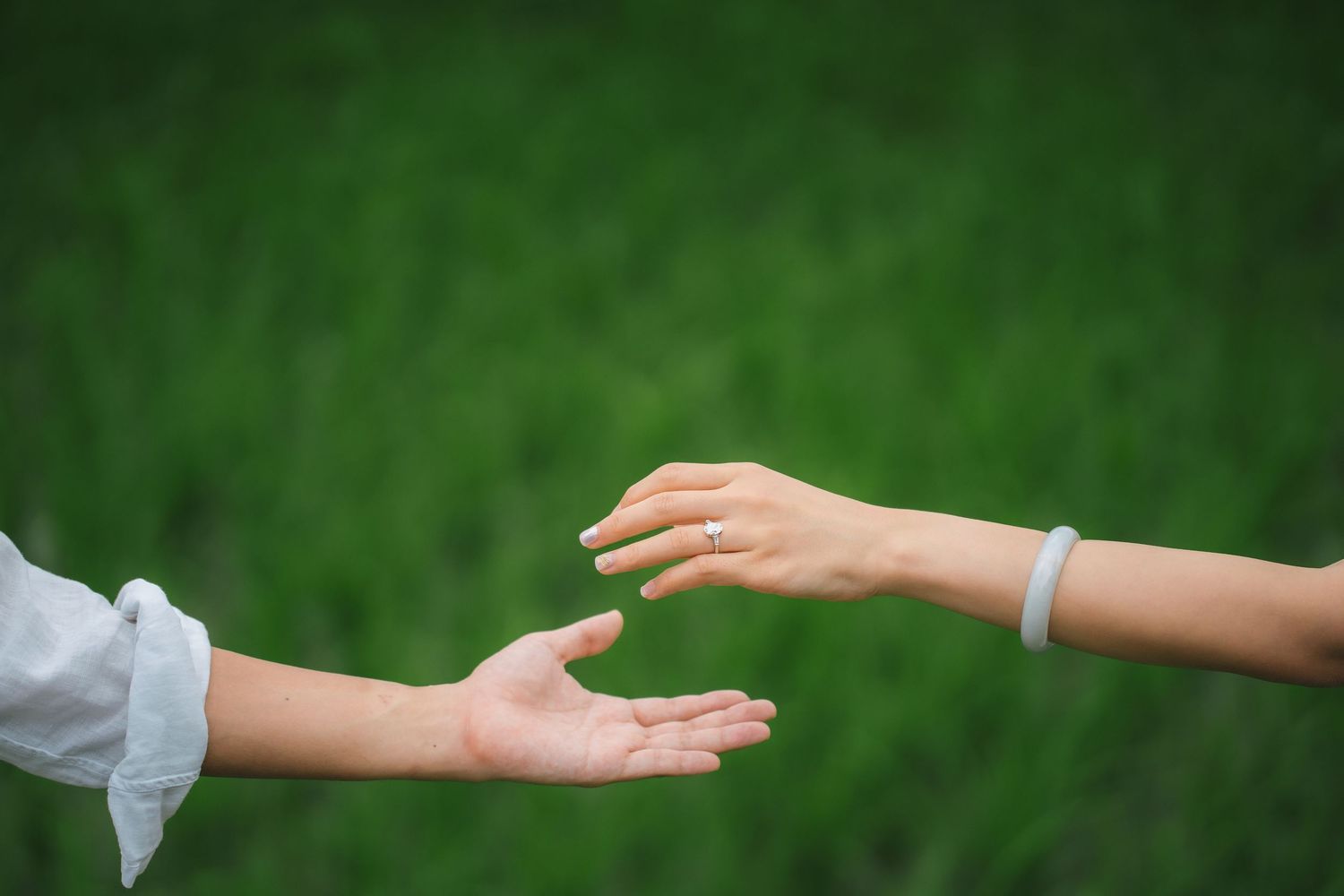 Two hands reaching toward each other against a lush green background, symbolizing connection and unity.