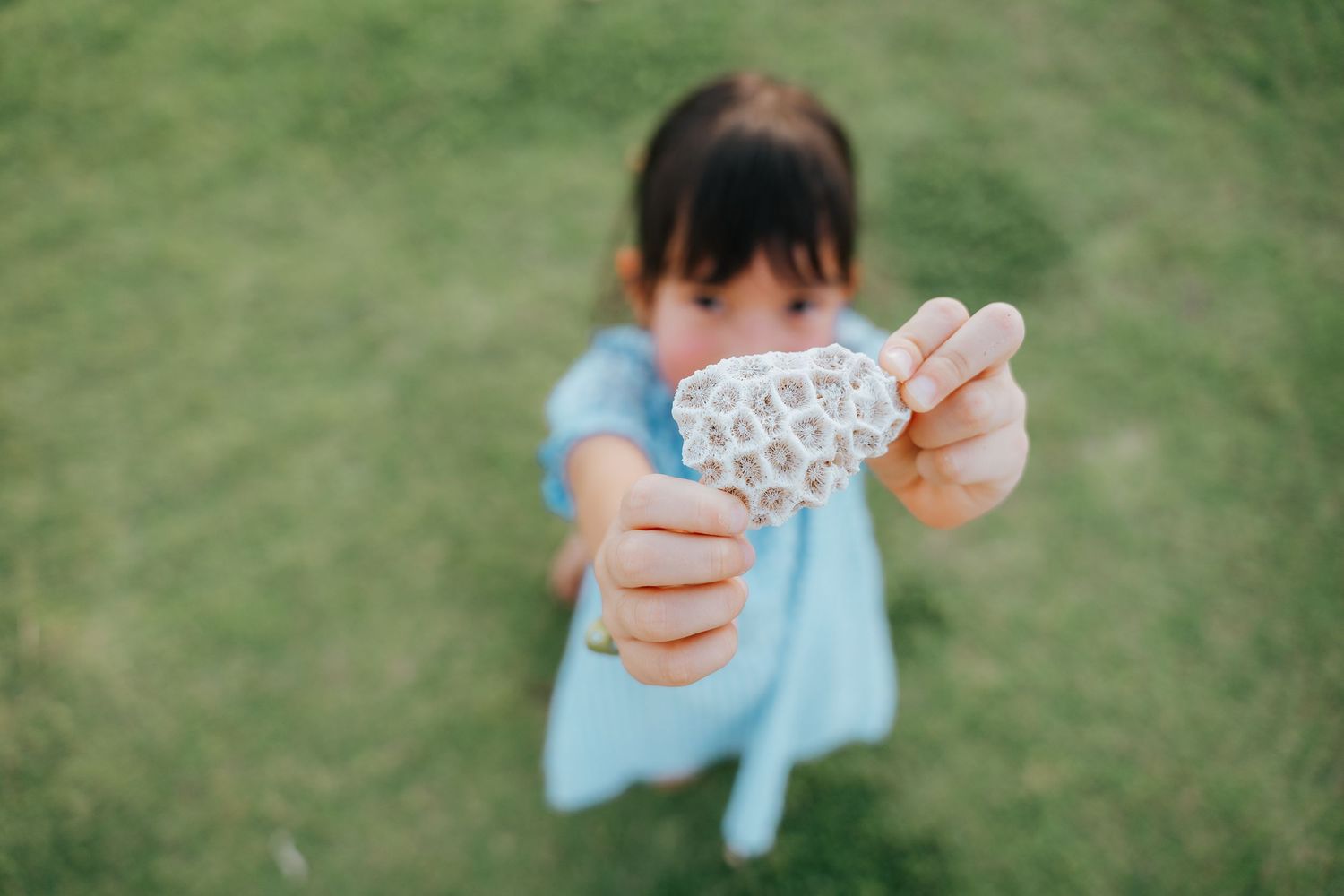 Close-up view of hands holding a delicate lace pattern against a grassy background.