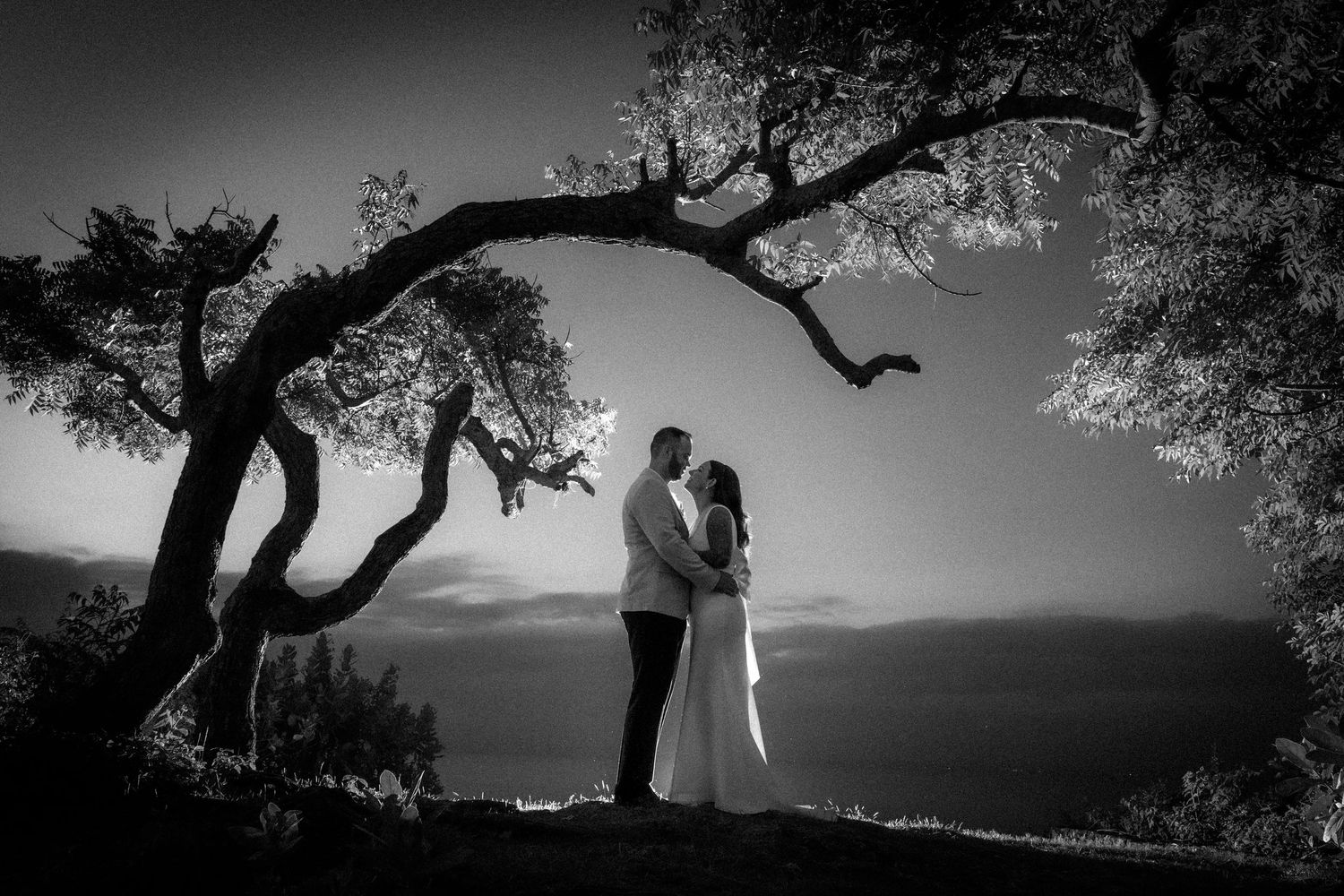 Black and white wedding photo of couple kissing under arching tree branches with ocean horizon at dusk.