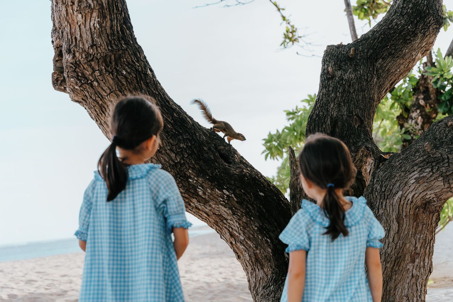 Two children in blue gingham dresses looking up at a tree branch with curiosity.
