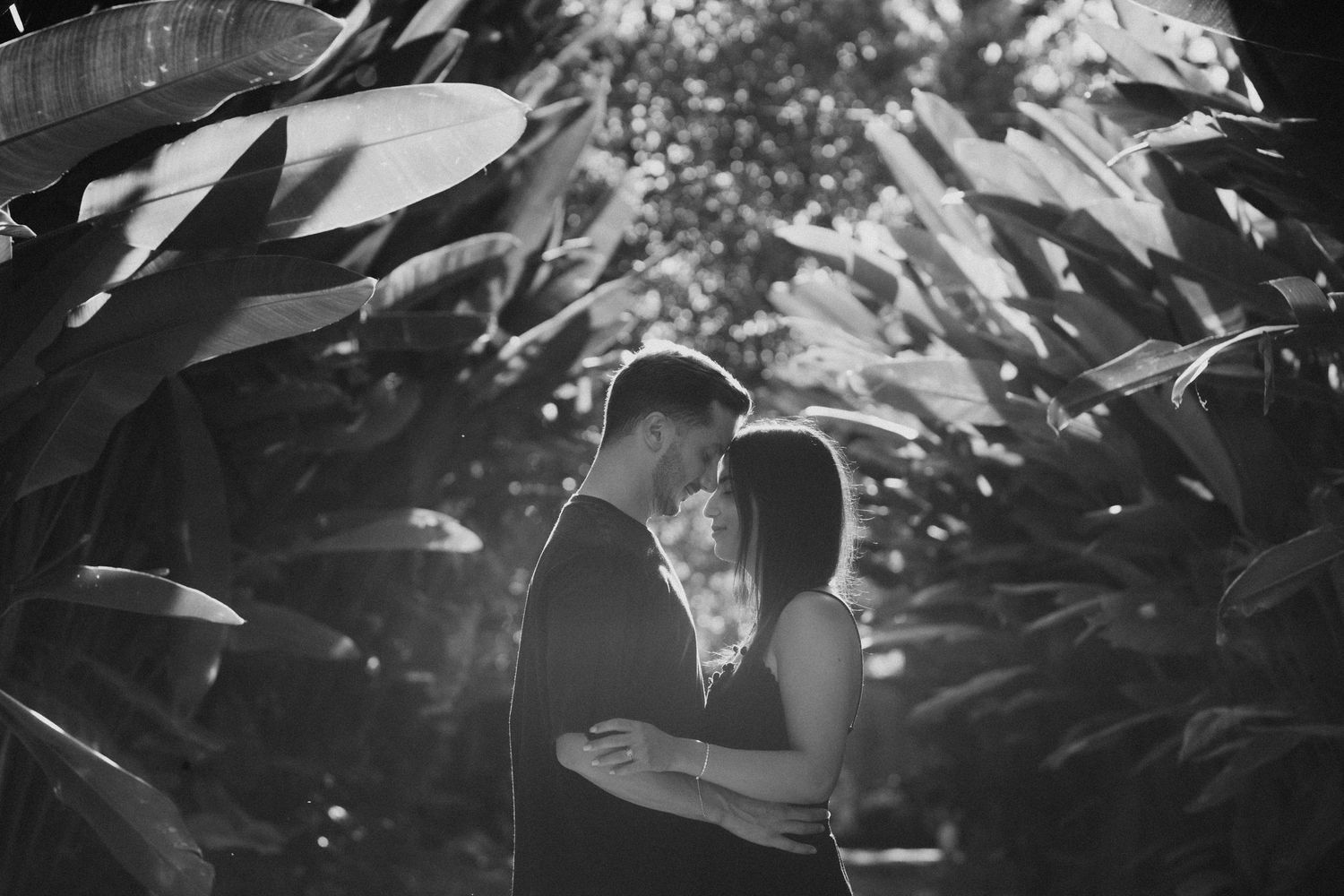 A black and white portrait of a couple among tropical foliage.