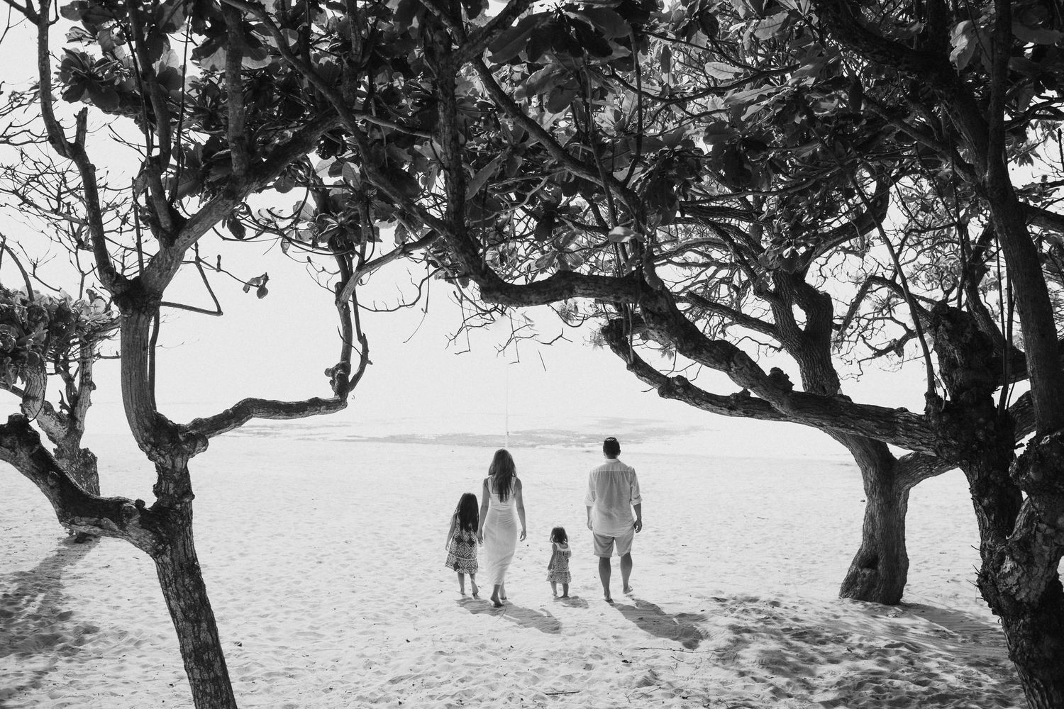 Black and white photo of family walking between trees toward the ocean.