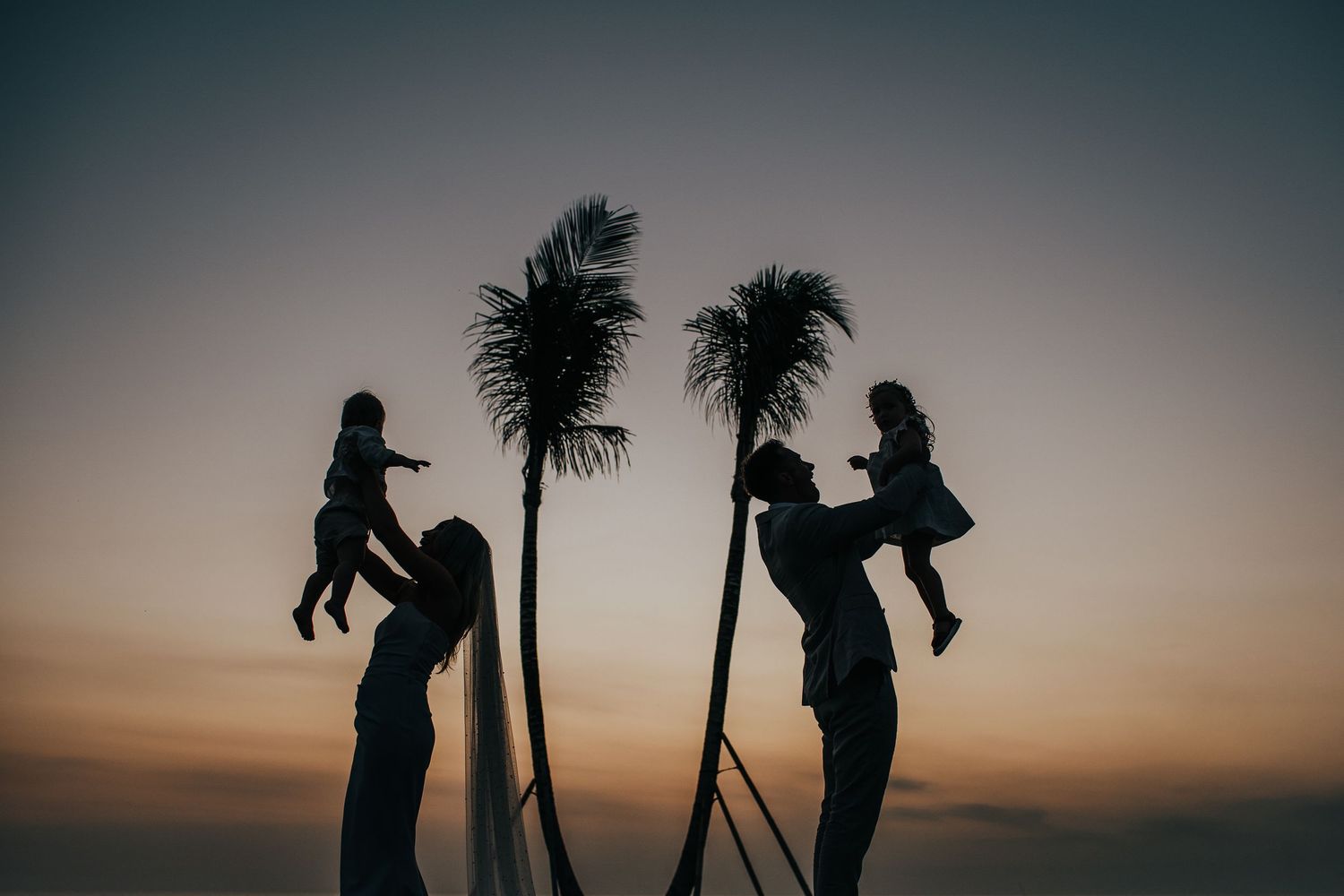 Silhouettes of photographers working at sunset with palm trees in the background.