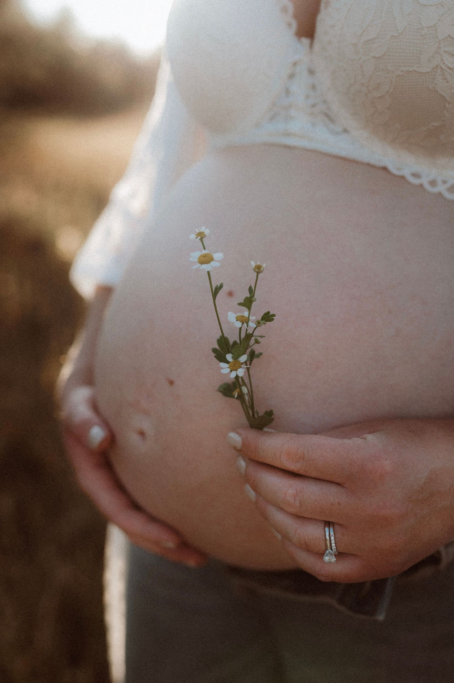 Close-up of pregnant belly with delicate white wildflowers being held against it in warm sunlight.