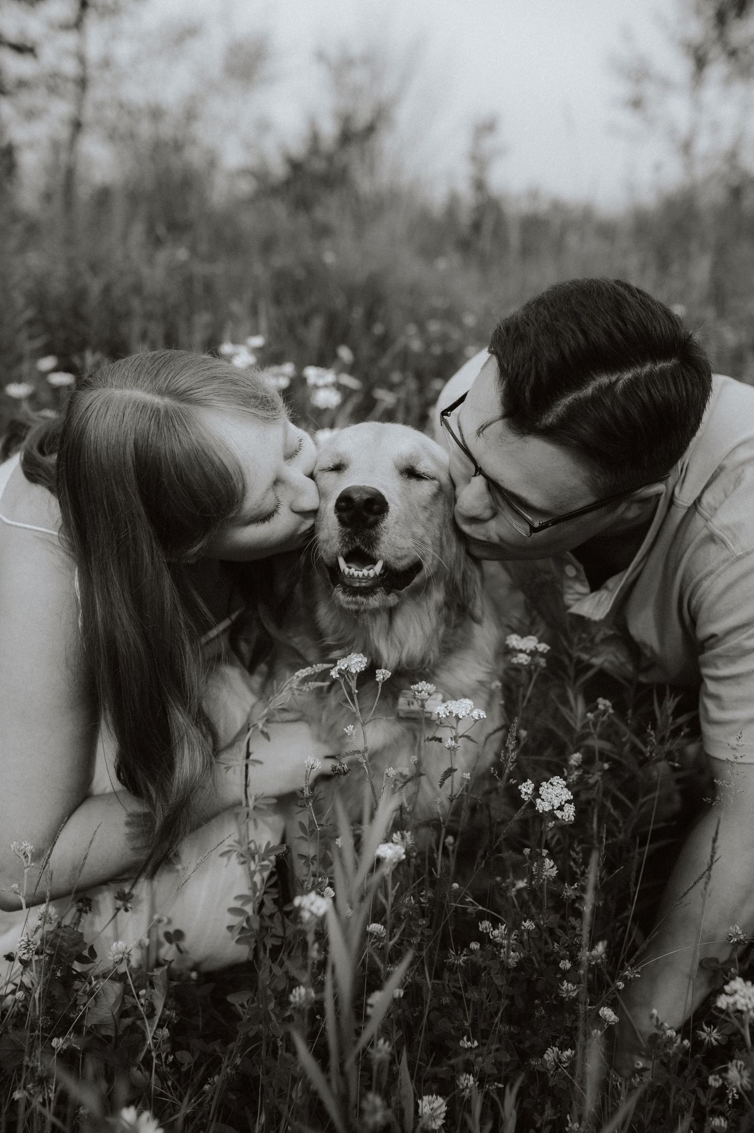 A happy Golden Retriever smiles as it receives kisses in a wildflower meadow, captured in black and white.