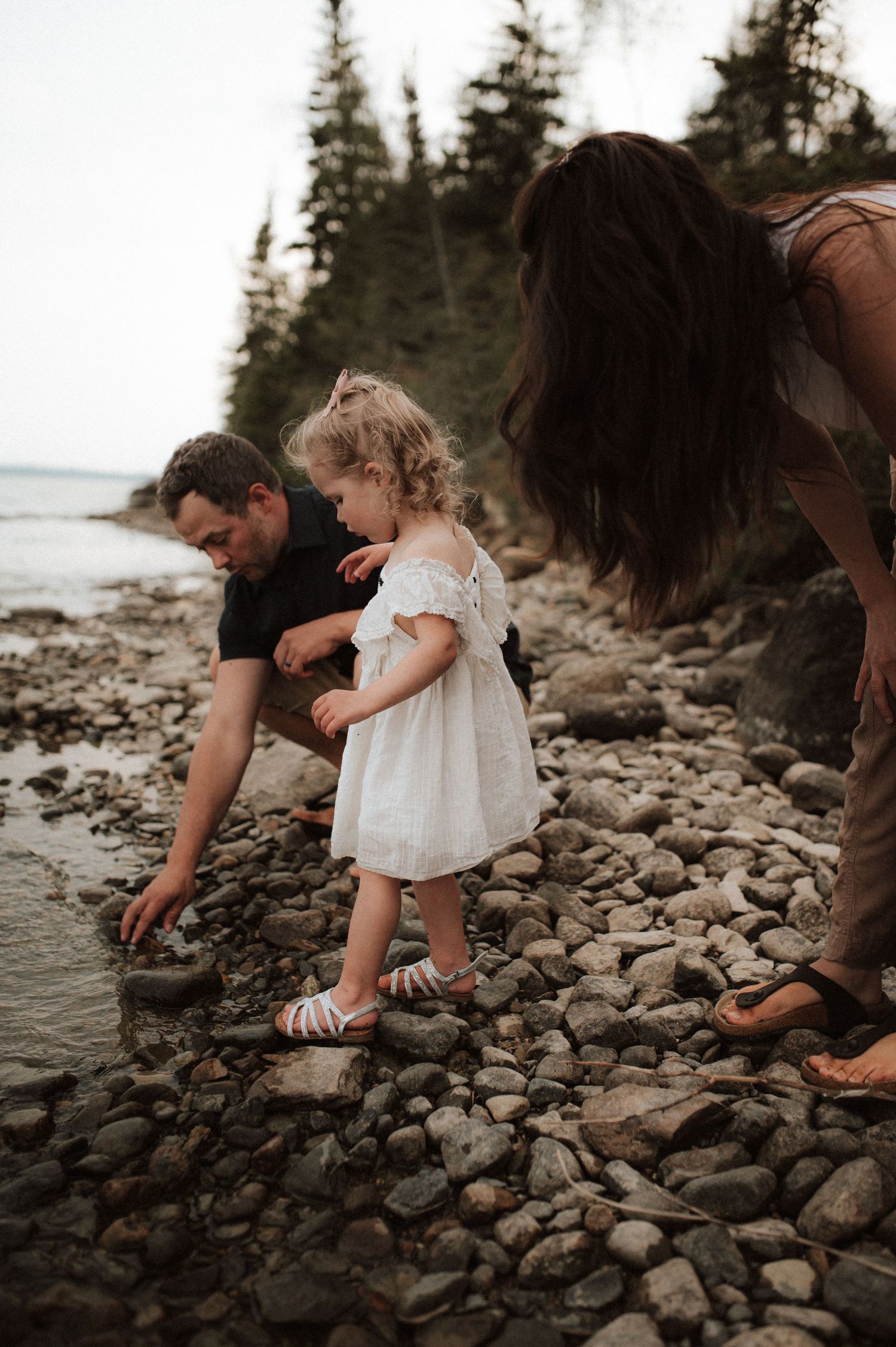People exploring a rocky beach shore together near evergreen trees at sunset.