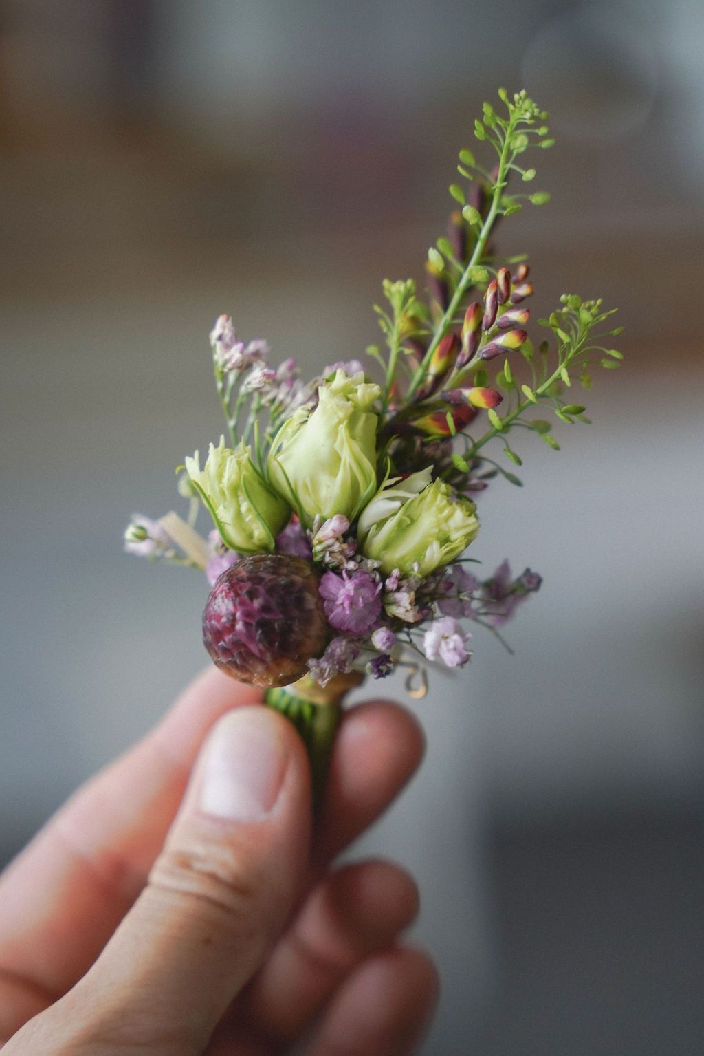 Close-up sequence showing a small flower bulb sprouting and blooming in someone's fingers.