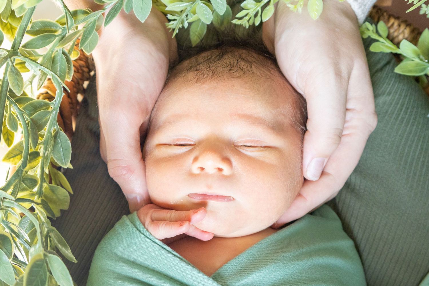 Adult hands gently cradling sleeping newborn baby wrapped in green swaddle surrounded by leaves.