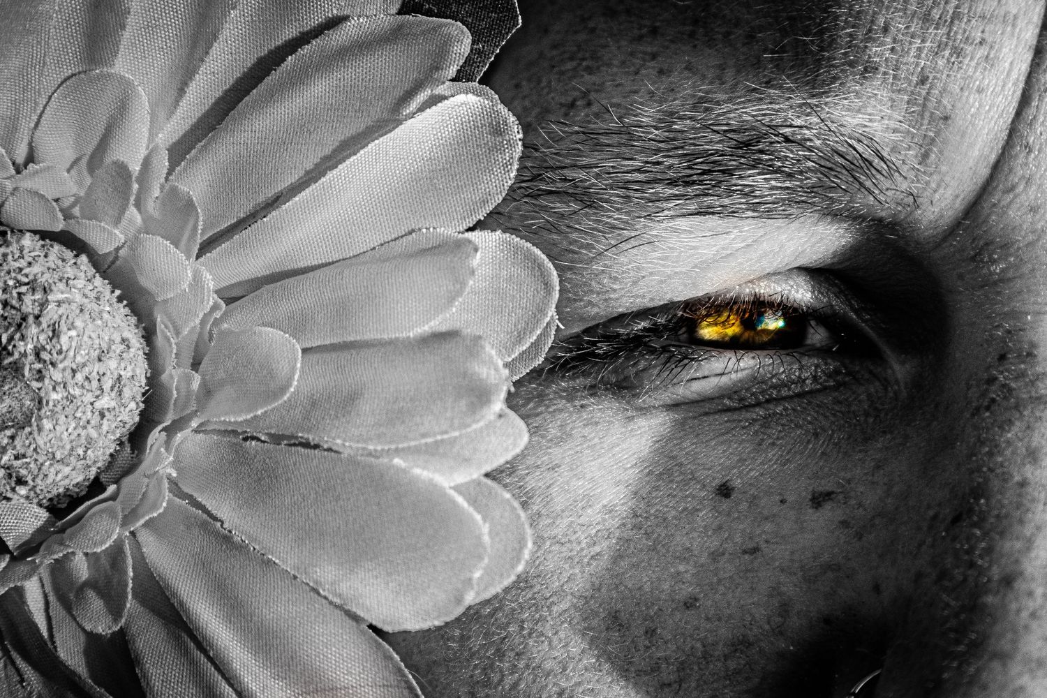 Close-up black and white photo of a face partially hidden by a daisy flower, with a striking golden eye visible.
