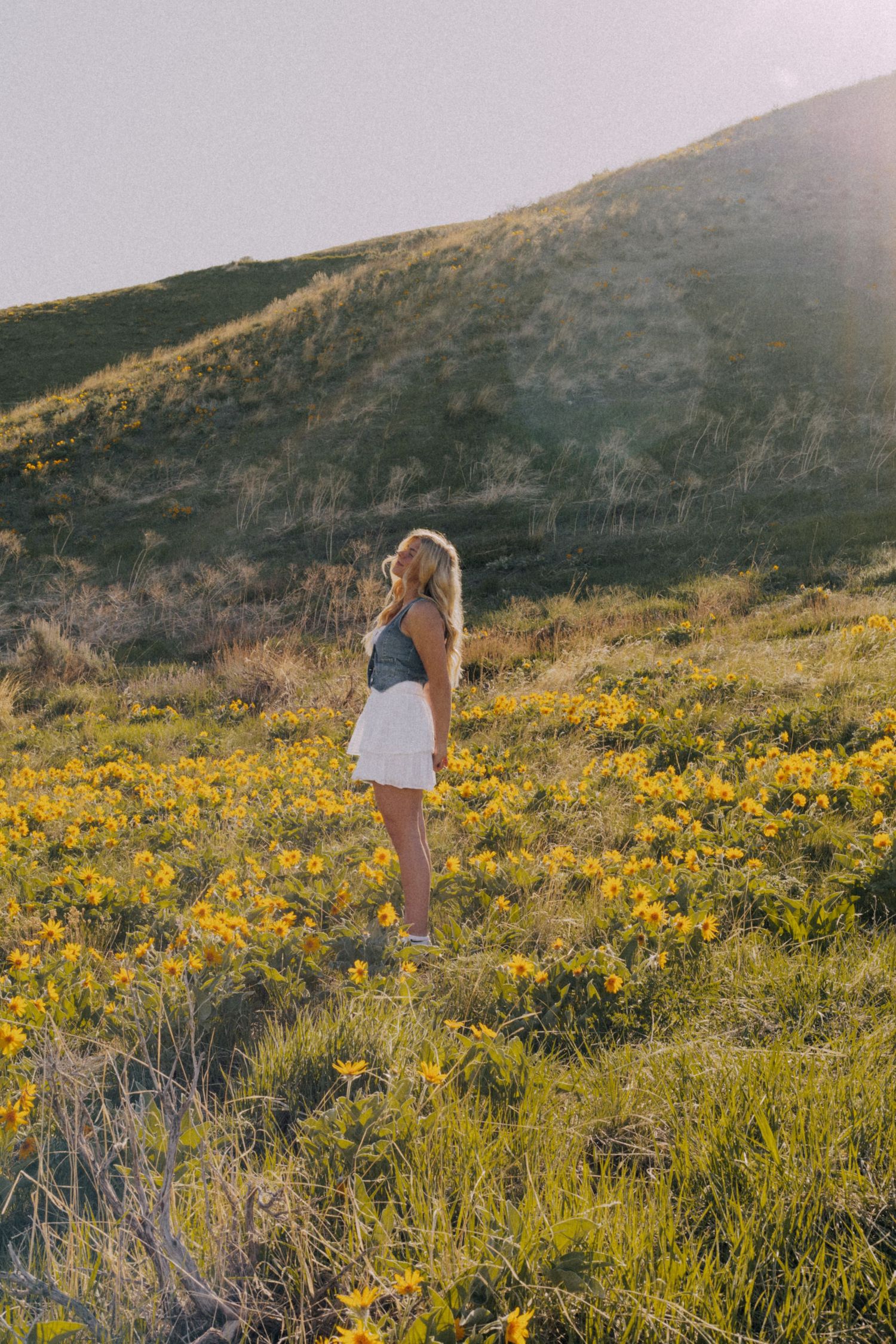 Person walking through field of yellow wildflowers on hillside at sunset.