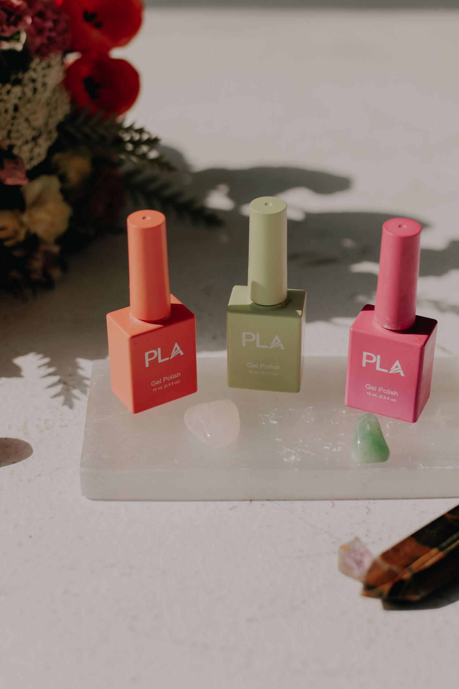Product photography of colorful PLA containers in coral, sage green and pink arranged on white surface.