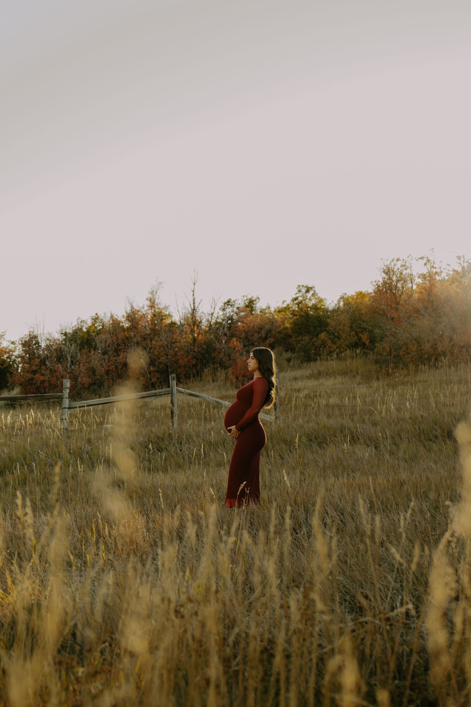 Silhouette of pregnant woman in burgundy dress standing in golden field at sunset.