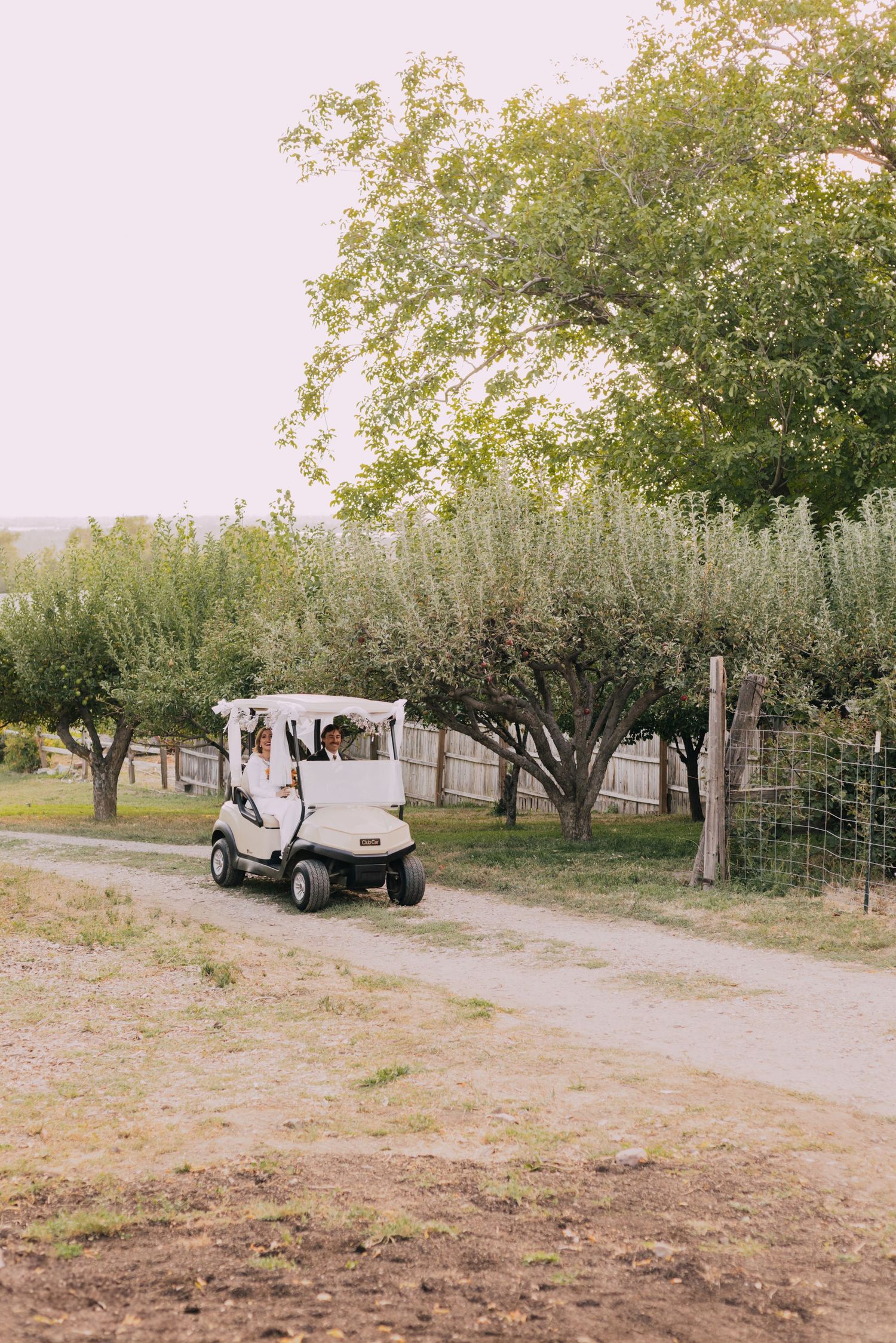 Outdoor wedding venue with white golf cart and trees along a dirt path.