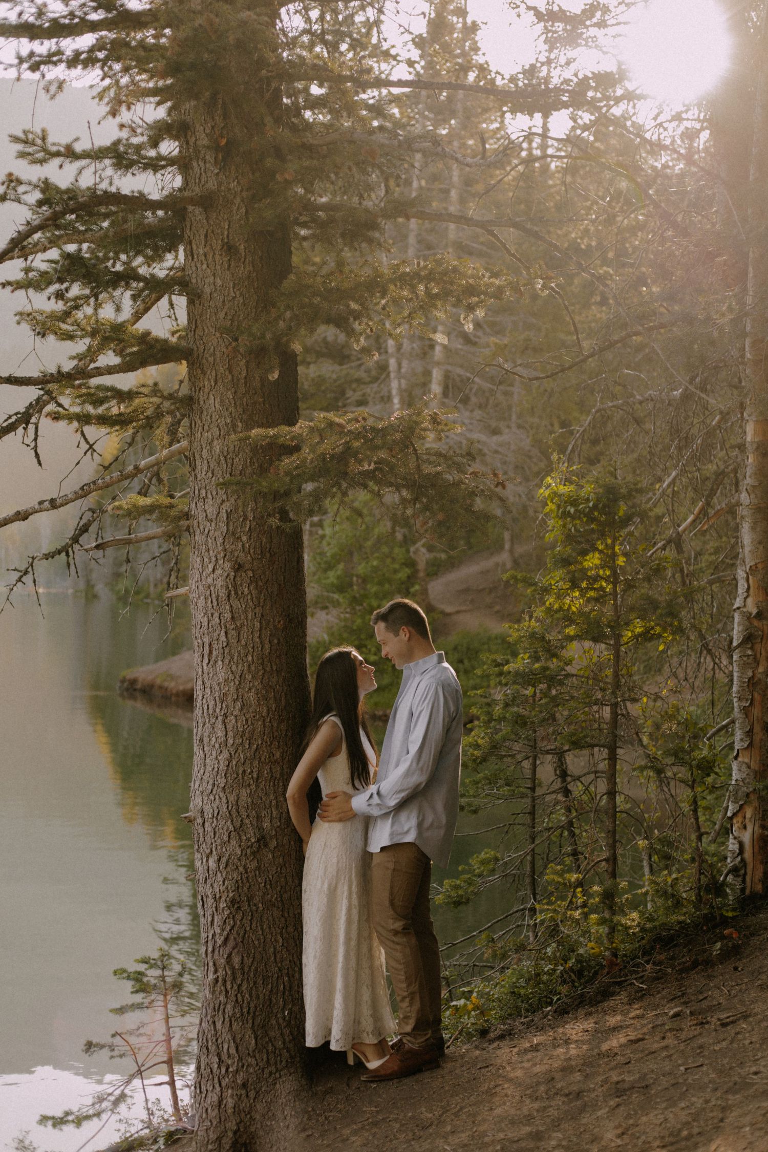 Romantic forest scene with towering pine trees and soft natural lighting.