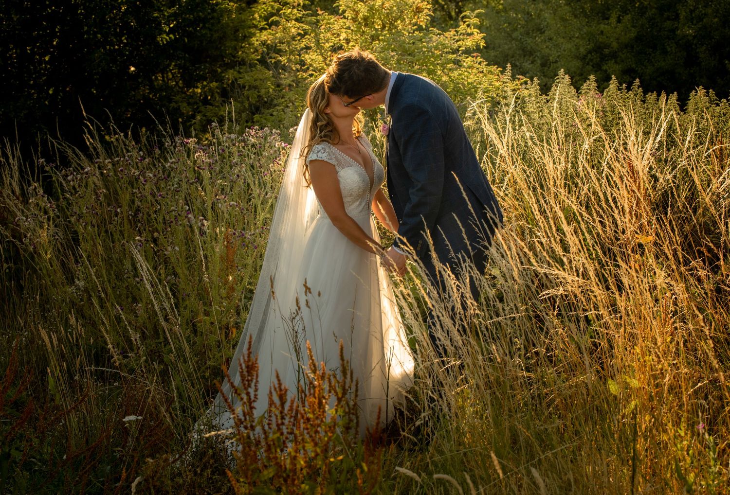 Bride and groom sharing romantic kiss in golden sunlit tall grass field at sunset.