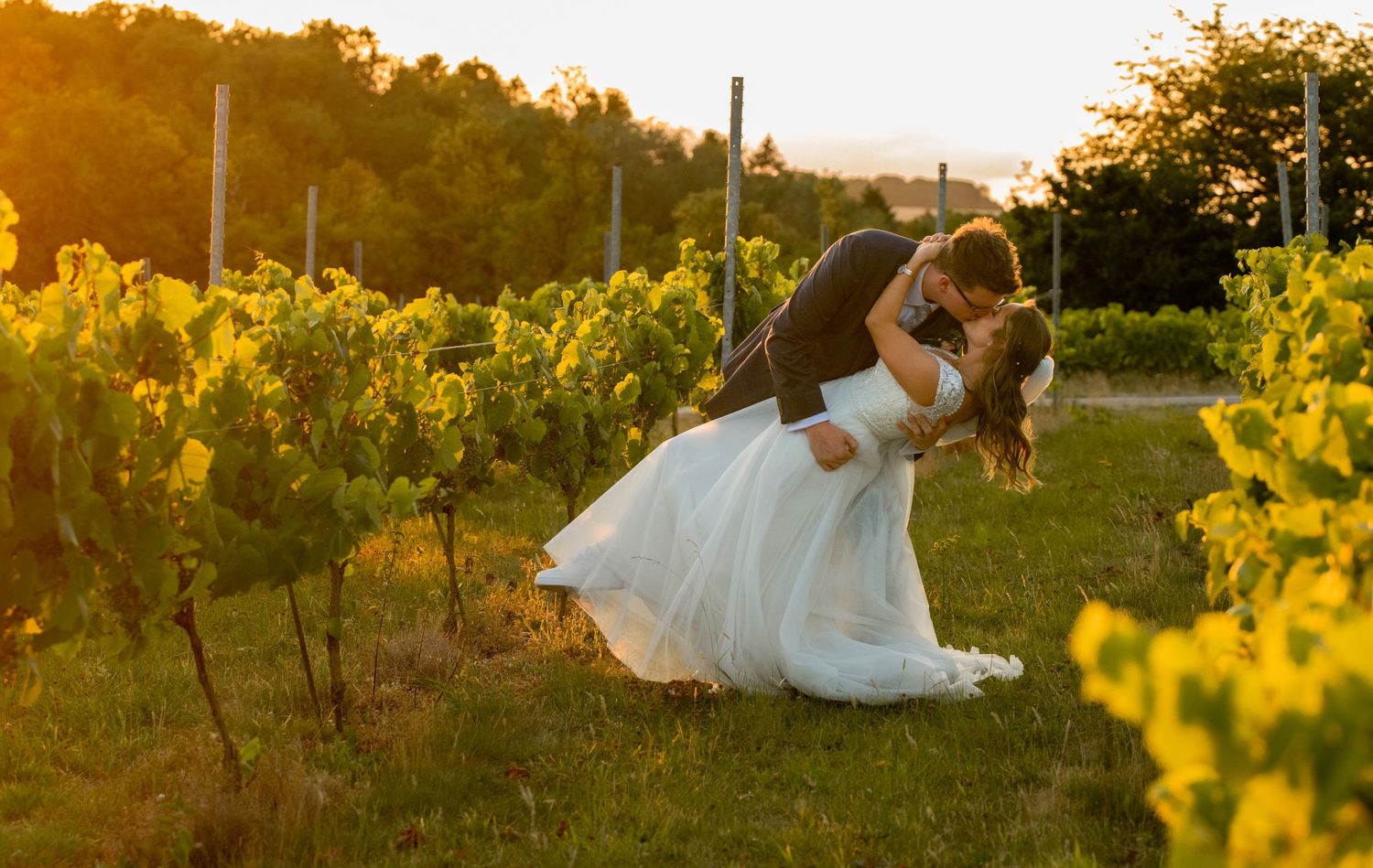 Bride and groom sharing a dip kiss in a sun-drenched vineyard at golden hour.