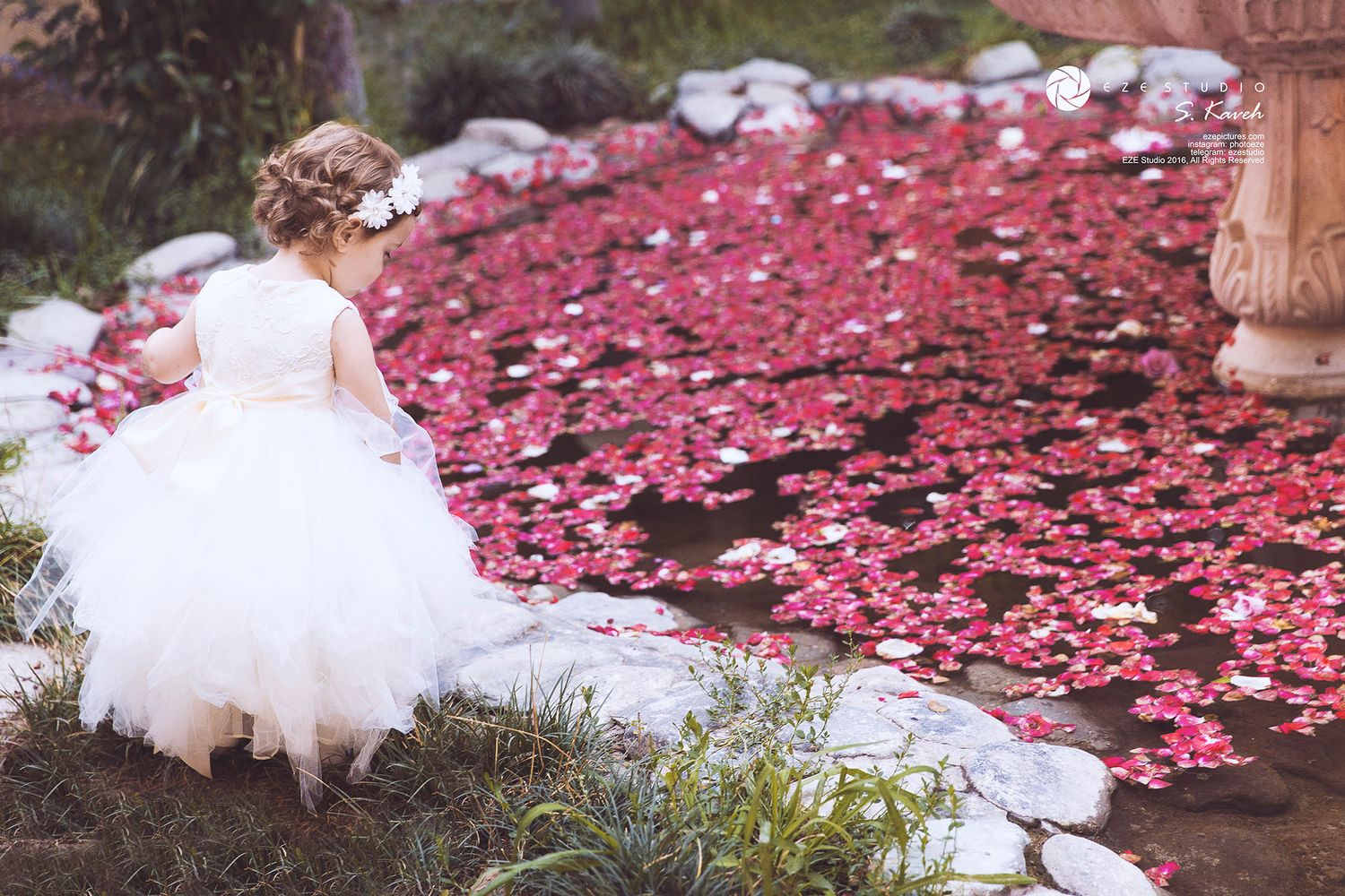 A scenic wedding aisle decorated with scattered red rose petals and lined with wooden pillars and chairs.