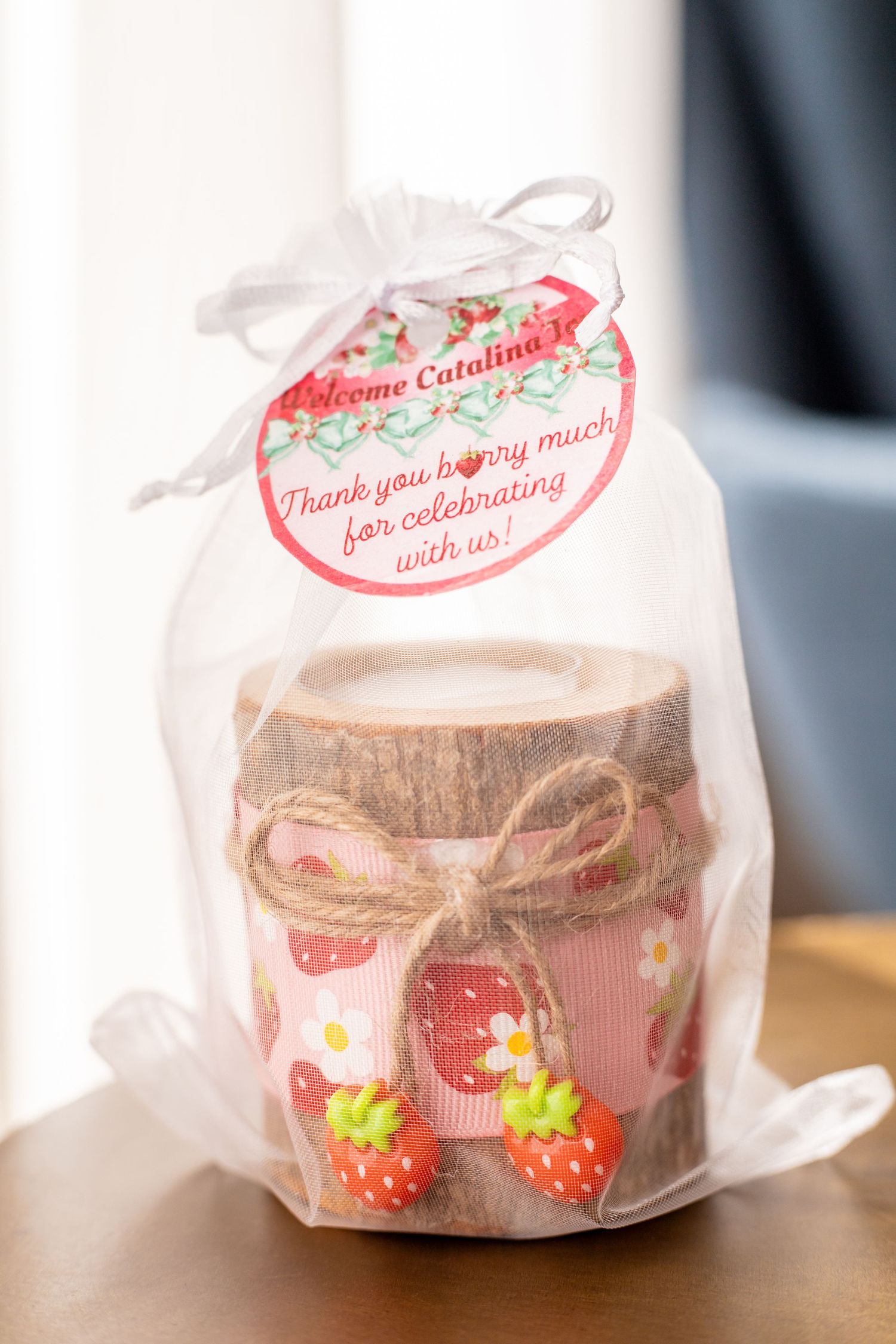 Baby Shower Party Favor
Melody B Pictures Lifestyle Photo