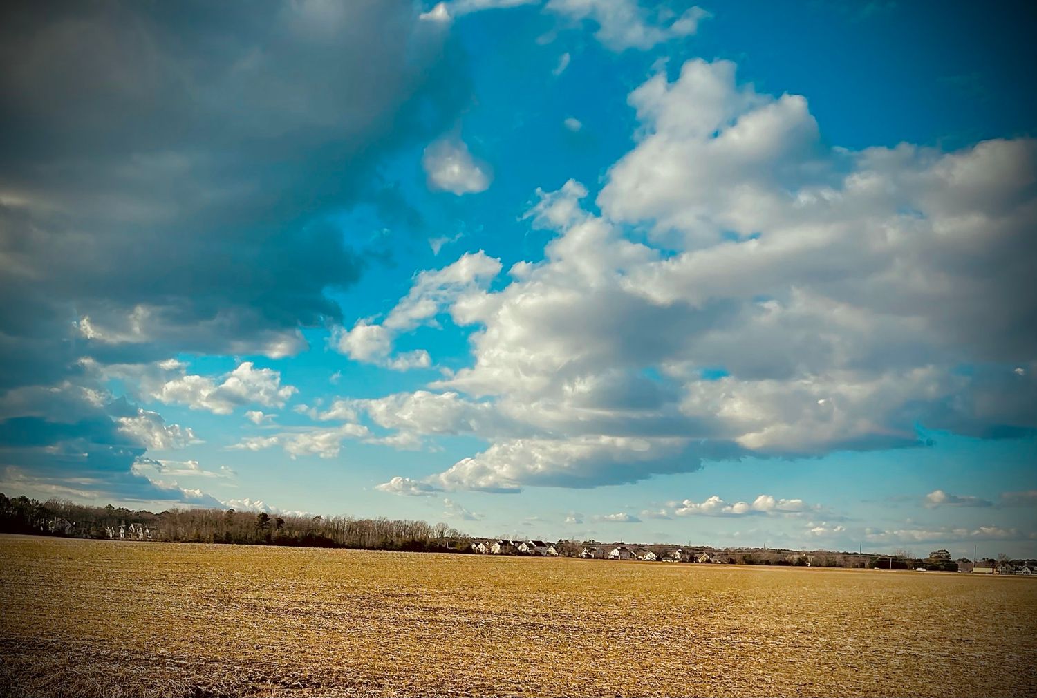 A dramatic panoramic landscape of farmland under blue skies with scattered white puffy clouds.