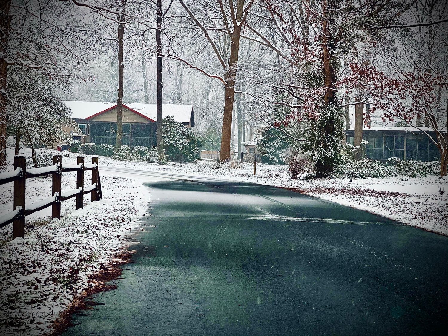 A snowy winter road scene with trees and wooden fencing covered in fresh white powder.