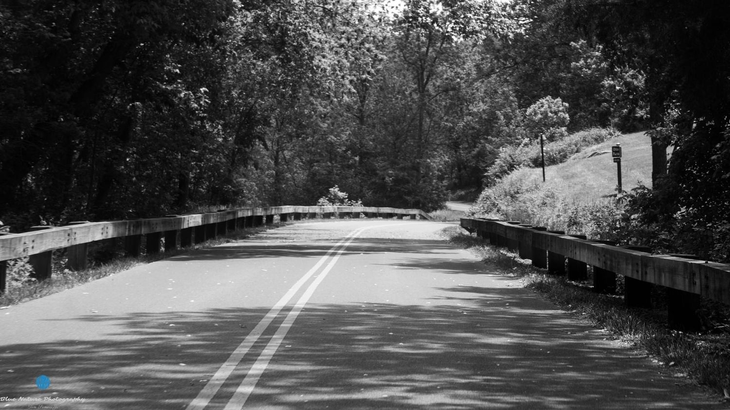 A panoramic view of a winding road through trees with double yellow lines.