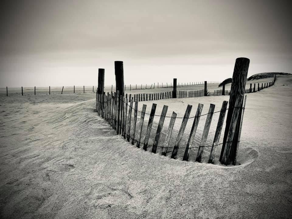 Row of weathered wooden fence posts stretch across snowy landscape in dramatic black and white.