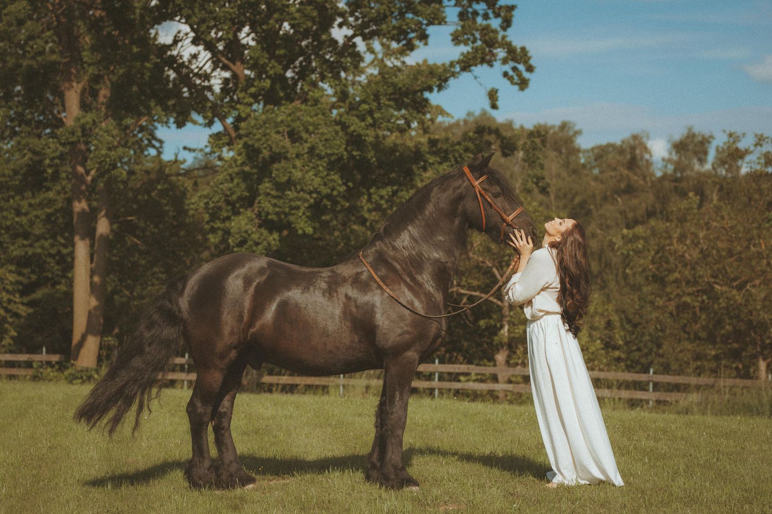 A graceful scene of a woman in a flowing white dress standing beside a dark horse in a sunlit meadow.