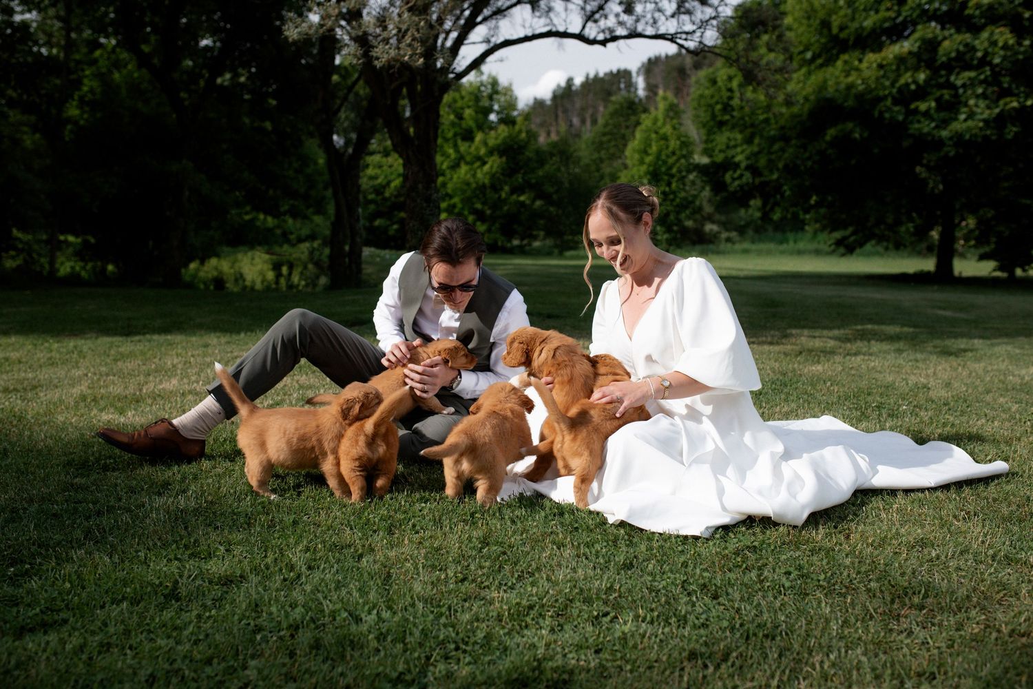 Bride and groom sitting on grass with golden retriever puppies in a lush green park on their wedding day.