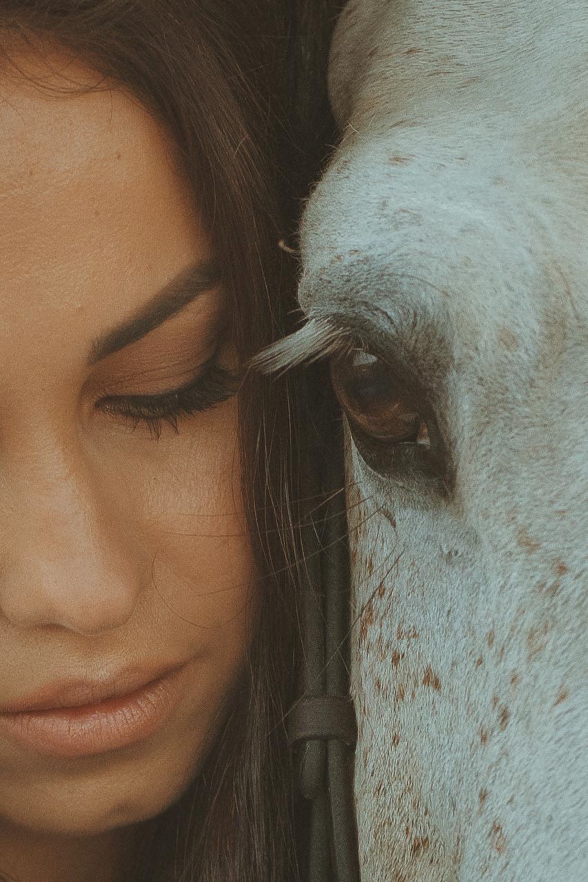 Close-up artistic portrait with a white horse against a light background.