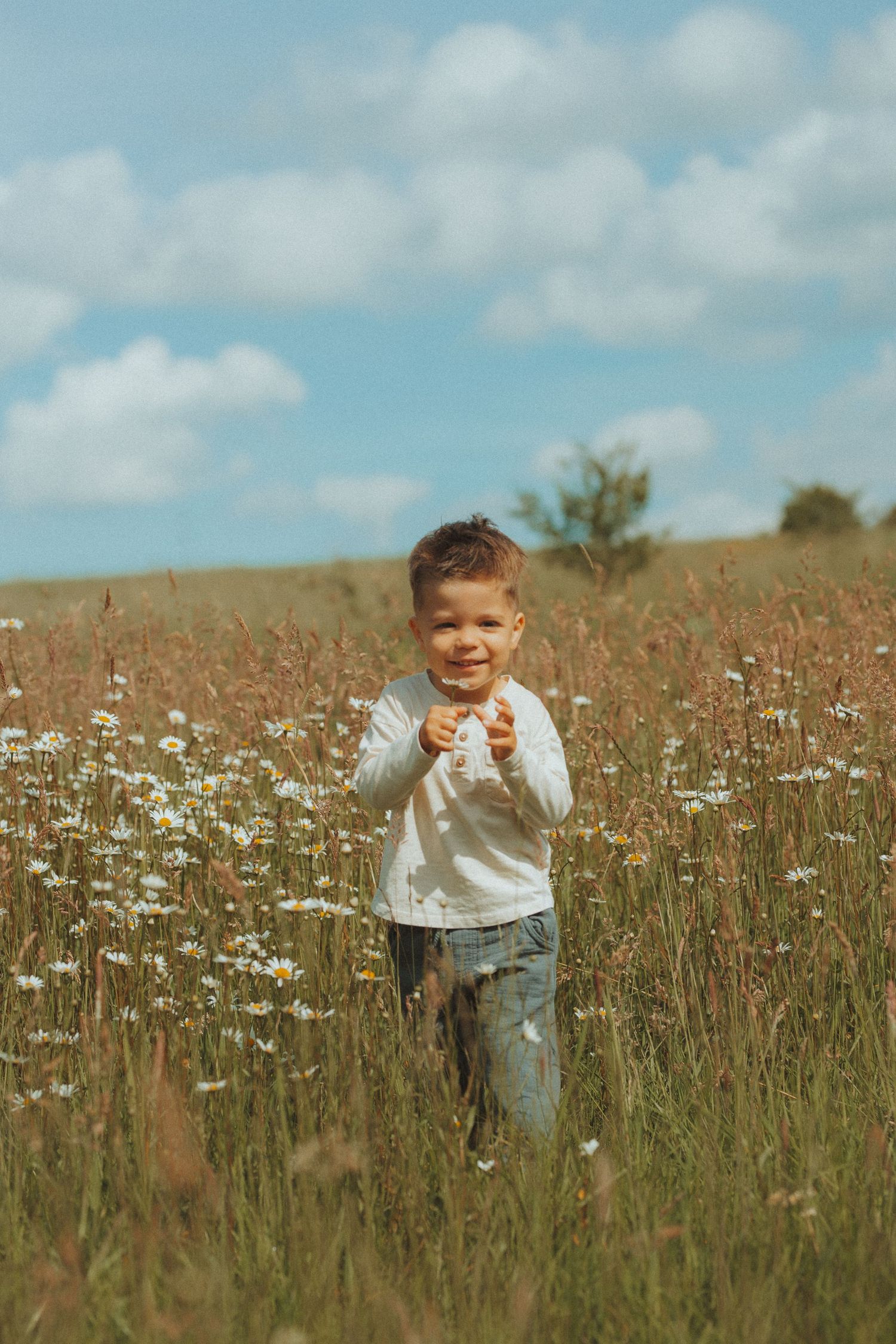 Young child standing in field of wildflowers against blue sky.