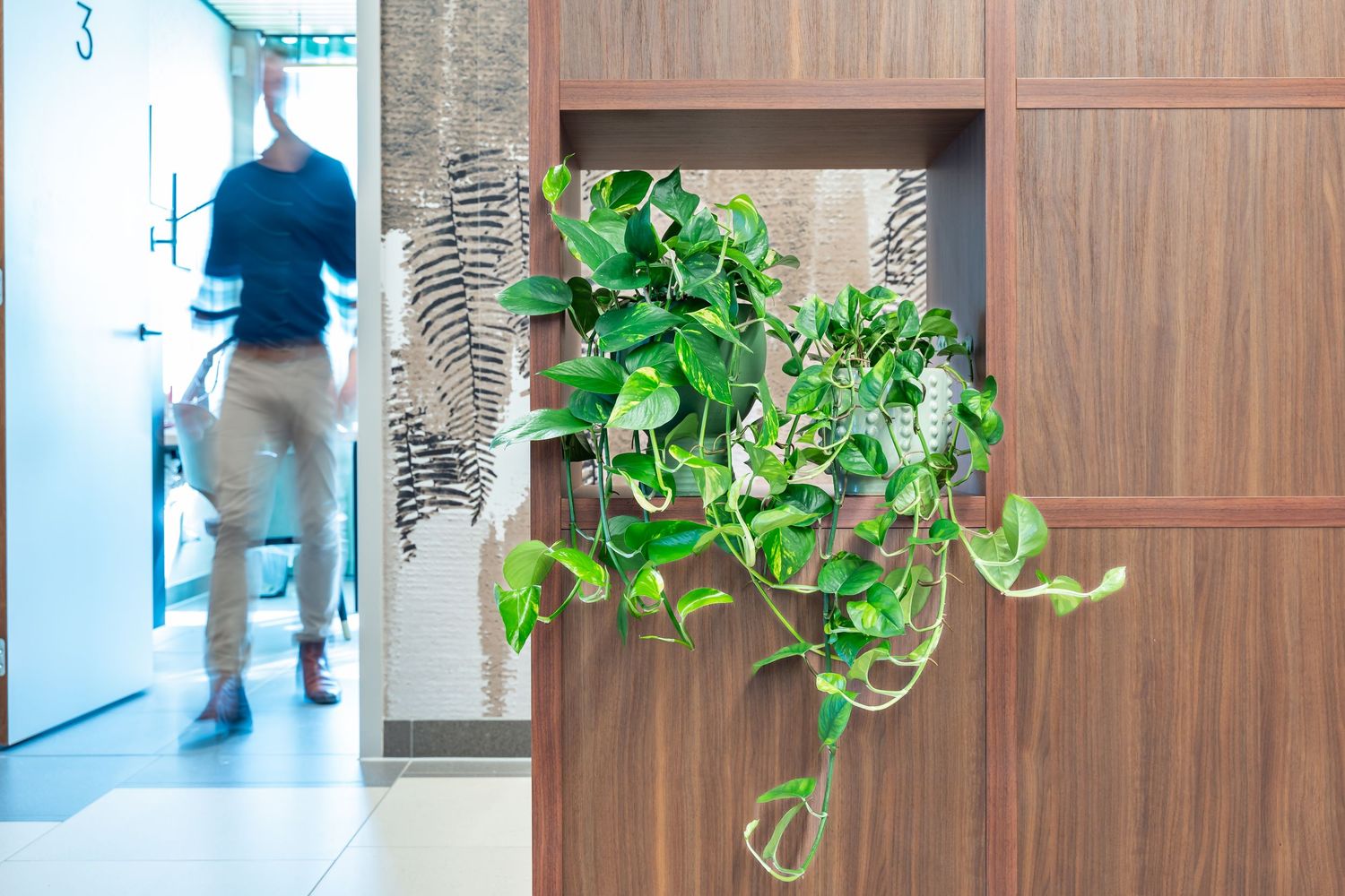 Product fotografie planten